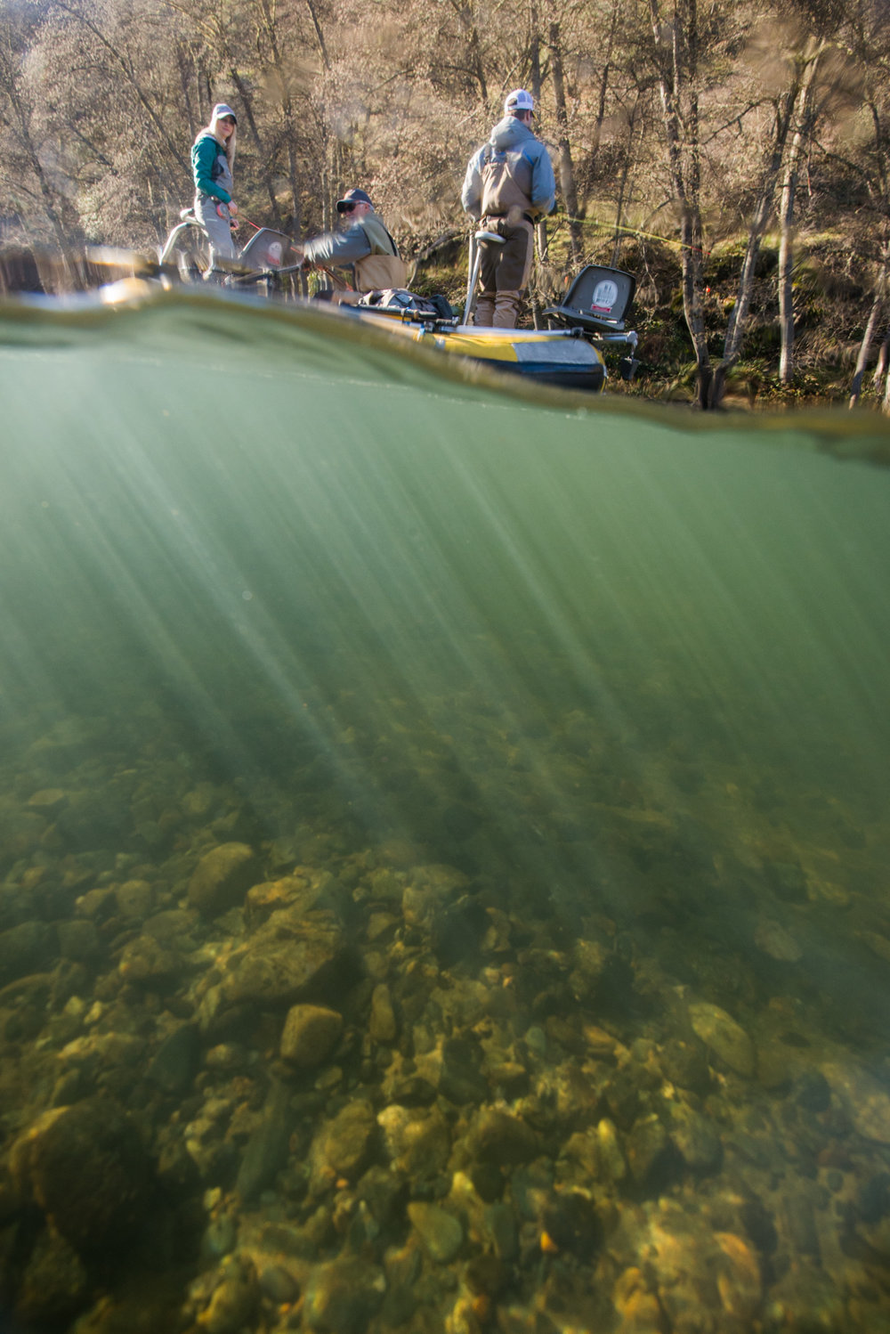 161218_Fly-Shop-Trinity-River-DavidWahlman1981.jpg