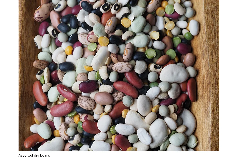 Beans_dry_P4092901.jpg