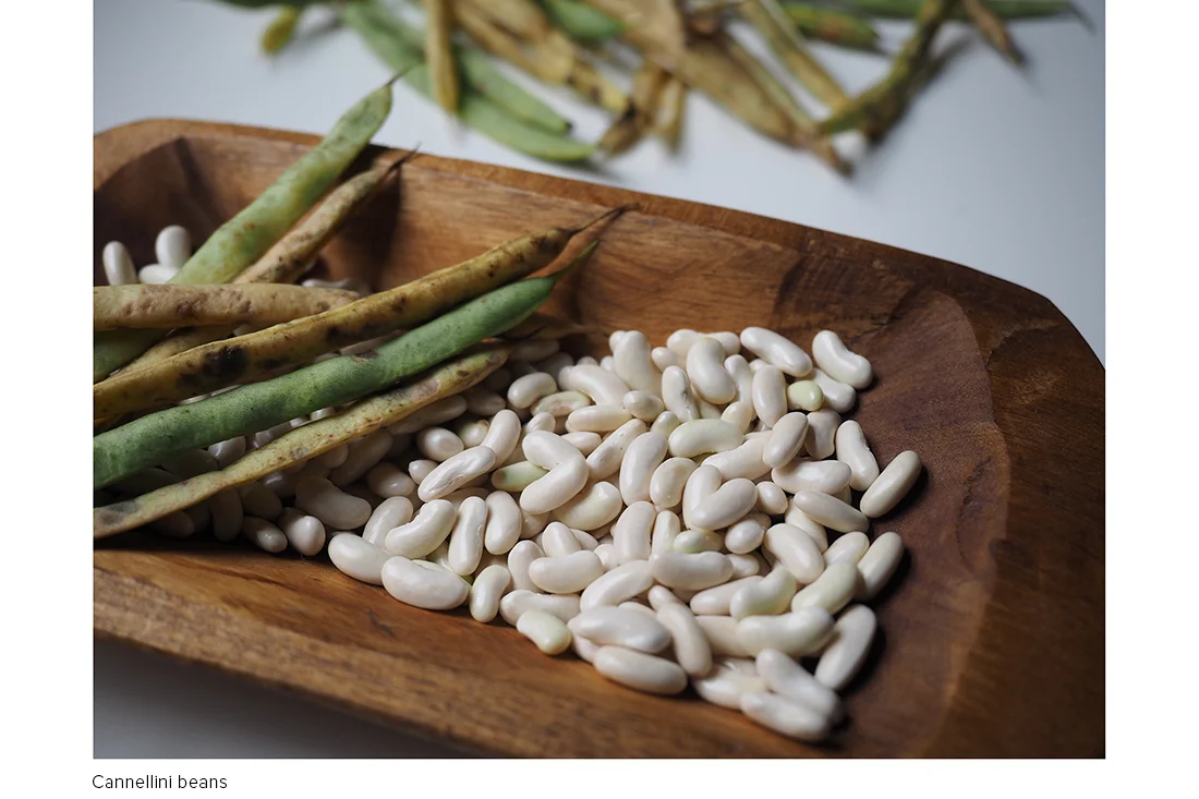 CannelliniBeans_P9300011.jpg