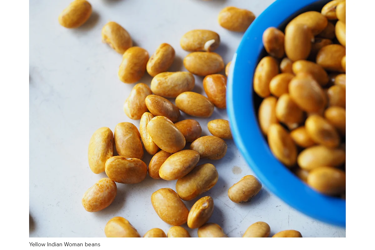 YellowIndianWomanBeans_P9049278.jpg