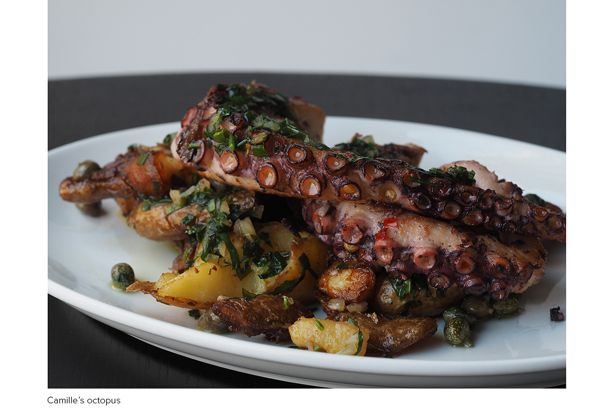 Camille'sOctopus_P3060063.jpg