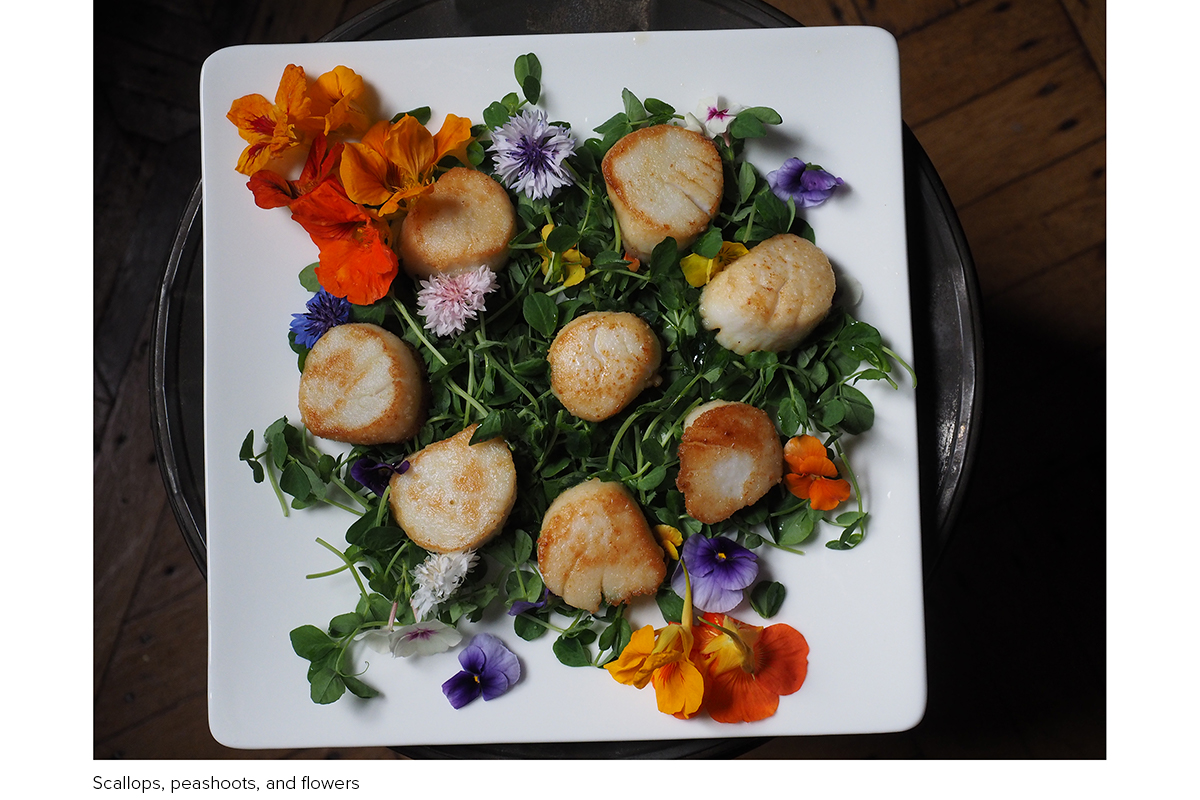 Scallops_PeaShoots_Flowers_P7128340.jpg