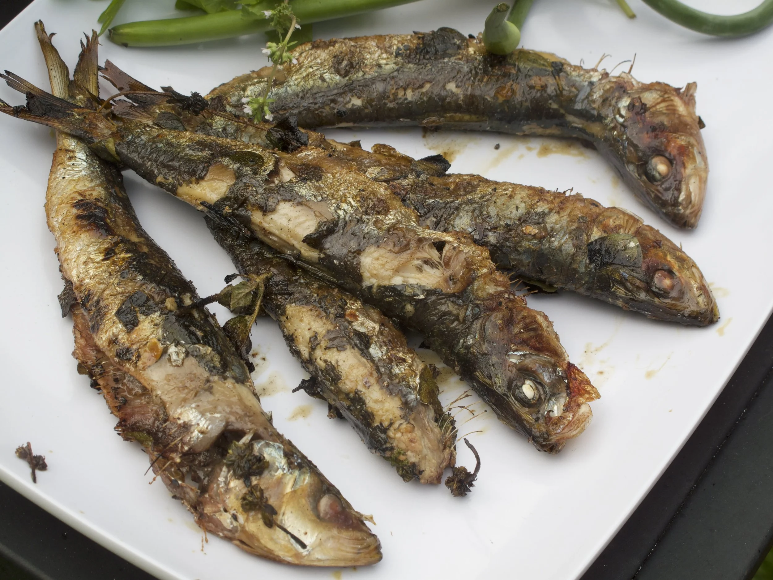 05_SARDINES_IMG_1600.jpeg