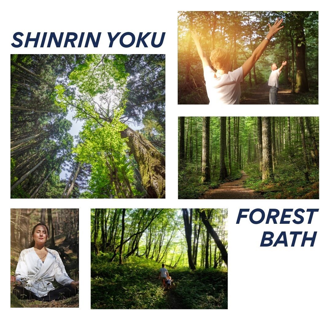 Shinrin Yoku, or forest bathing, is just one form of nature therapy. Nature therapy is the use of nature and outdoor activities to promote healing and wellbeing. ⁣
⁣
Have you ever gone to a park, taken a walk in a forest, or visited the countryside a