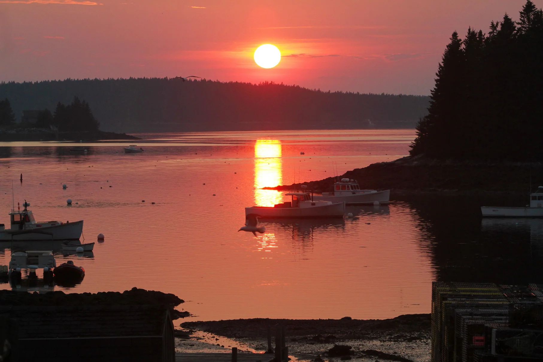 Port Clyde sunset mstone_resize.jpg