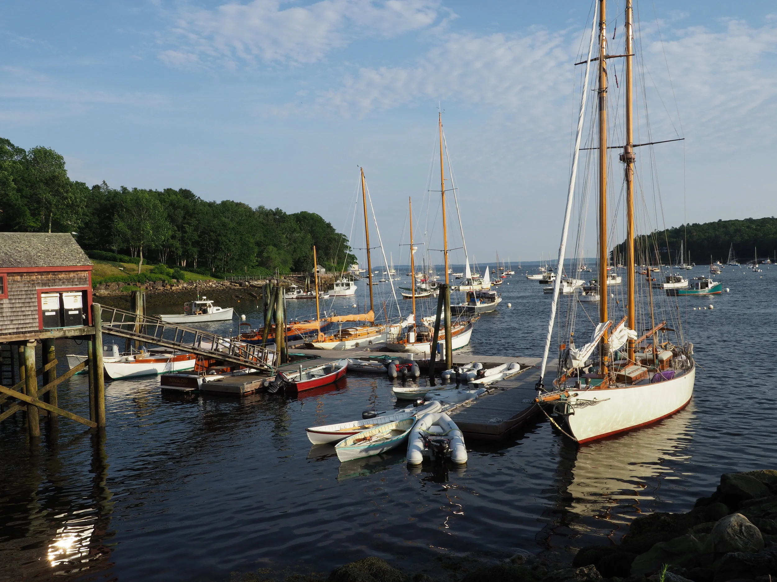 andreP6303045 RS2.JPG