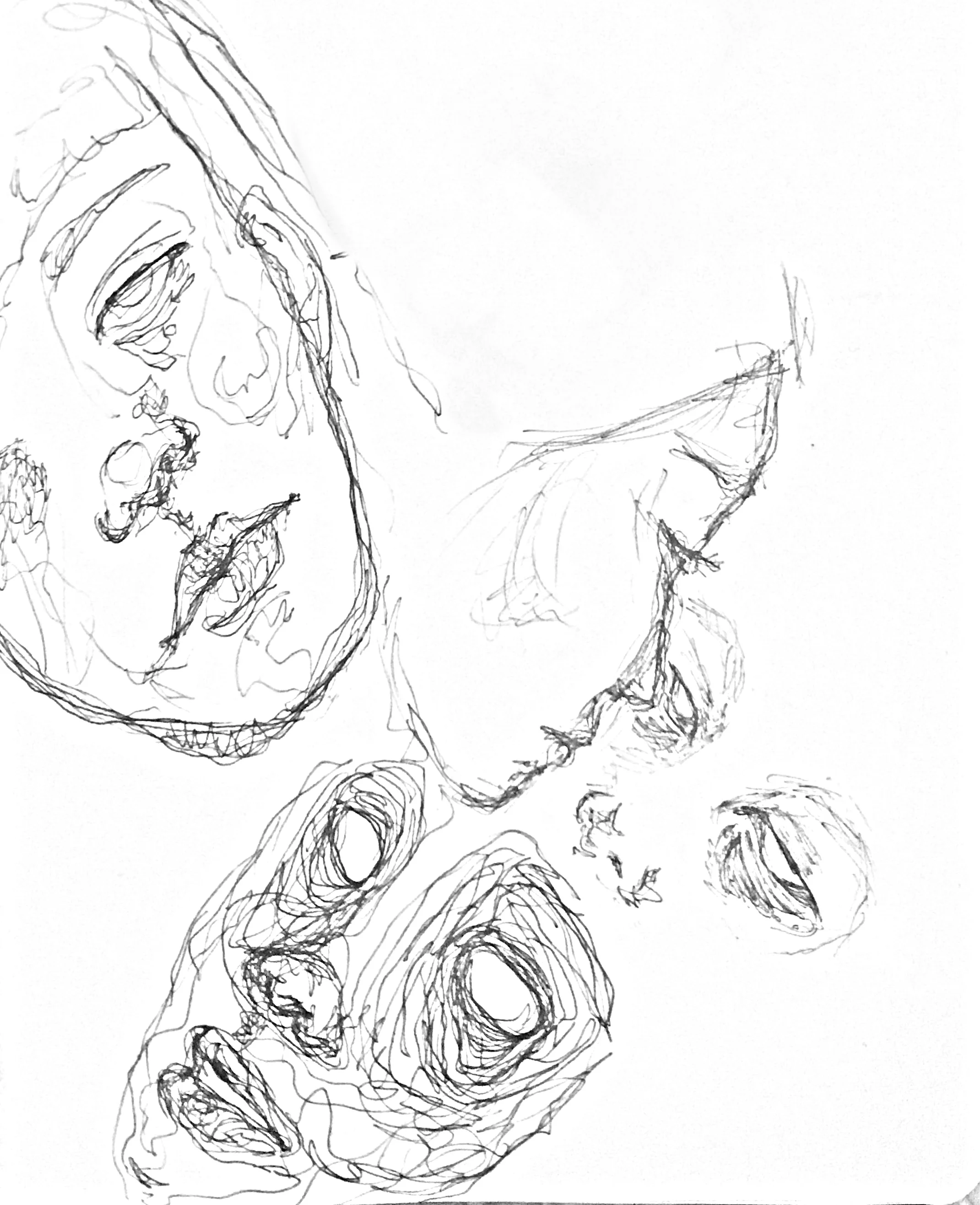 2D667D45-FE7B-4952-8D63-8D7726652512 2.JPG