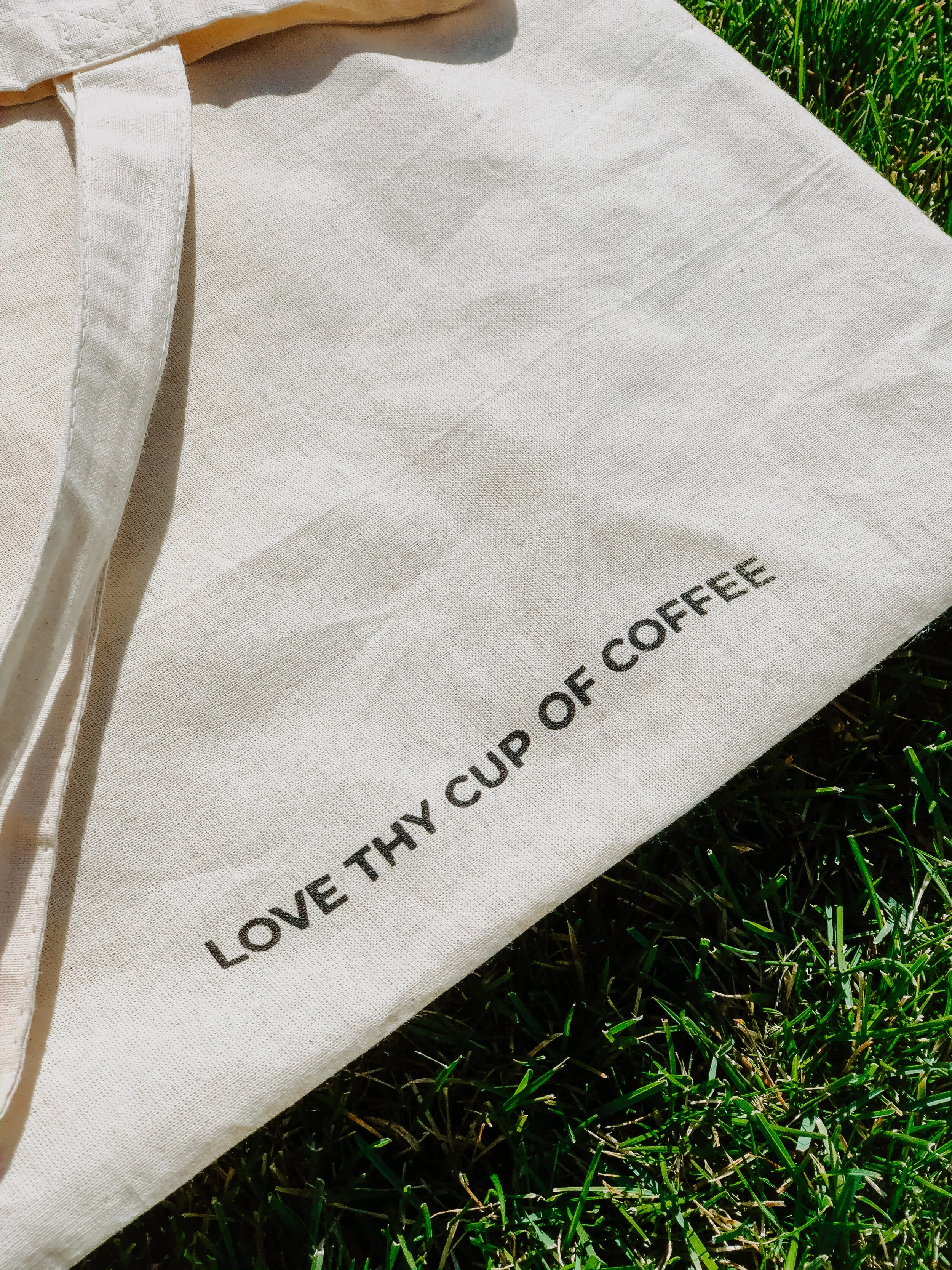  photo taken by: Carol Sohn typography by:  Zackery Peck  