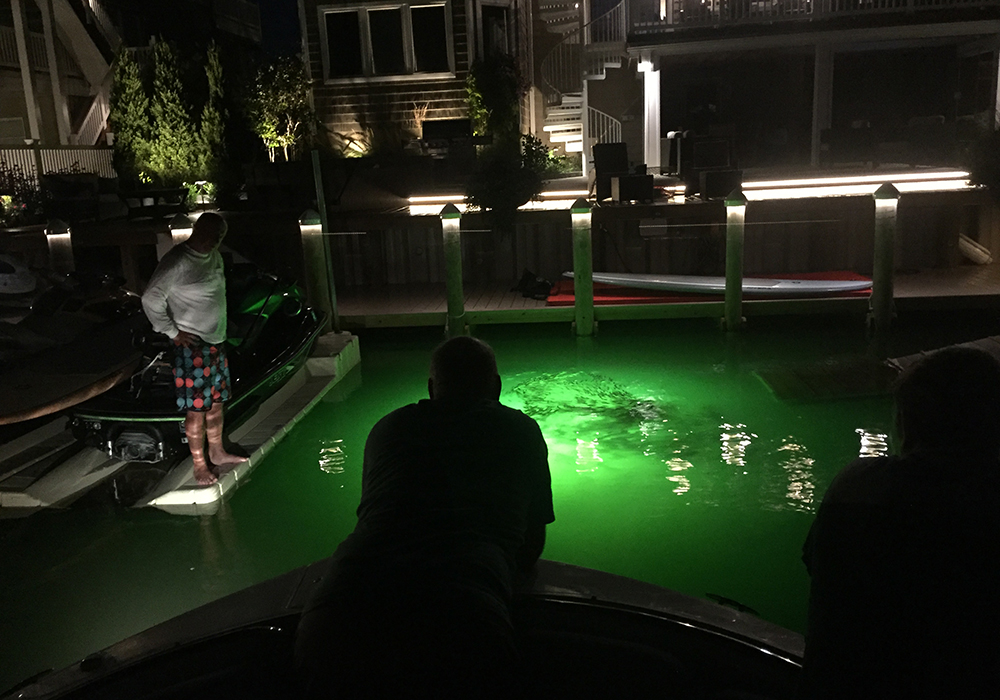 Tanek Hood, testing out a newly installed fish light. He is also on the Board of Directors of the Southern Ocean County Chamber of Commerce.
