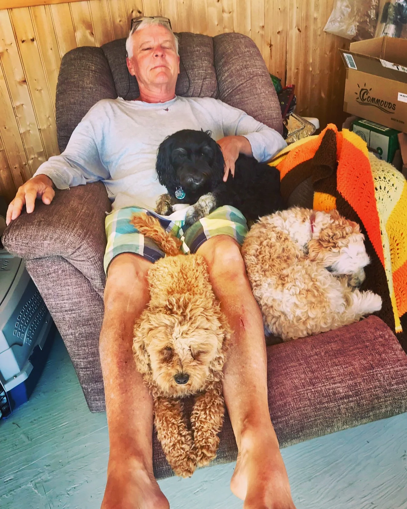 Doodle Ranch Diaries