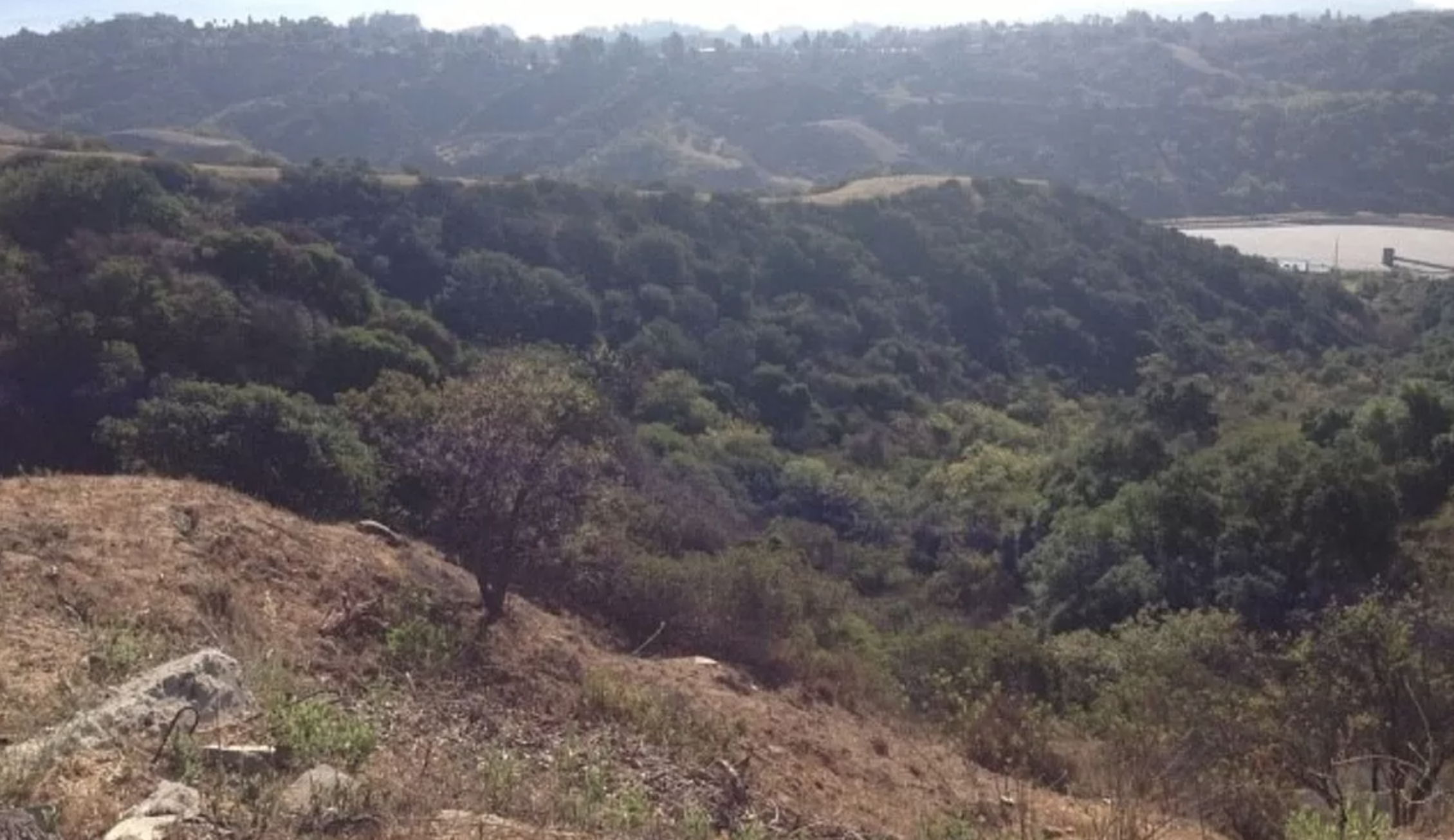 Screen Shot 2021-12-09 at 6.43.58 PM.png