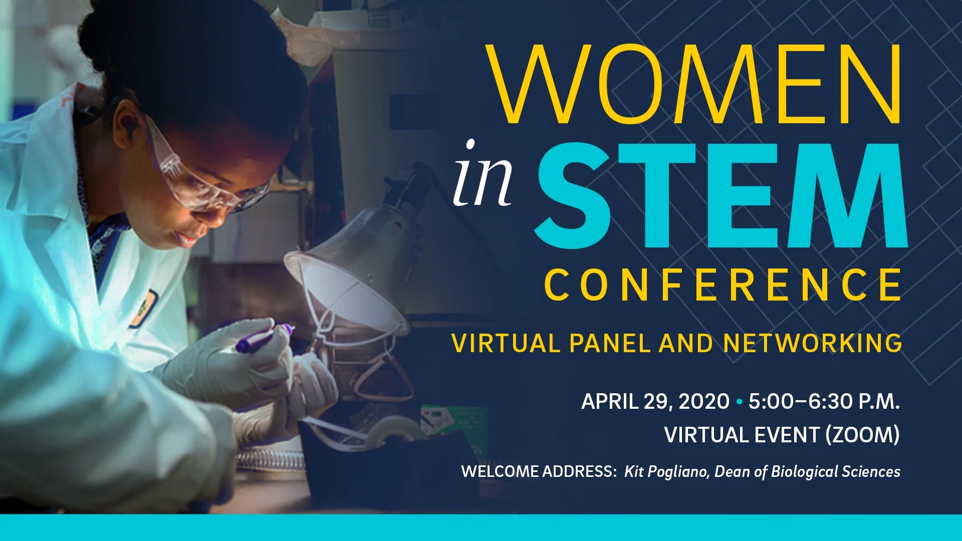 Digital_Banner_UCSD_WIS.JPG