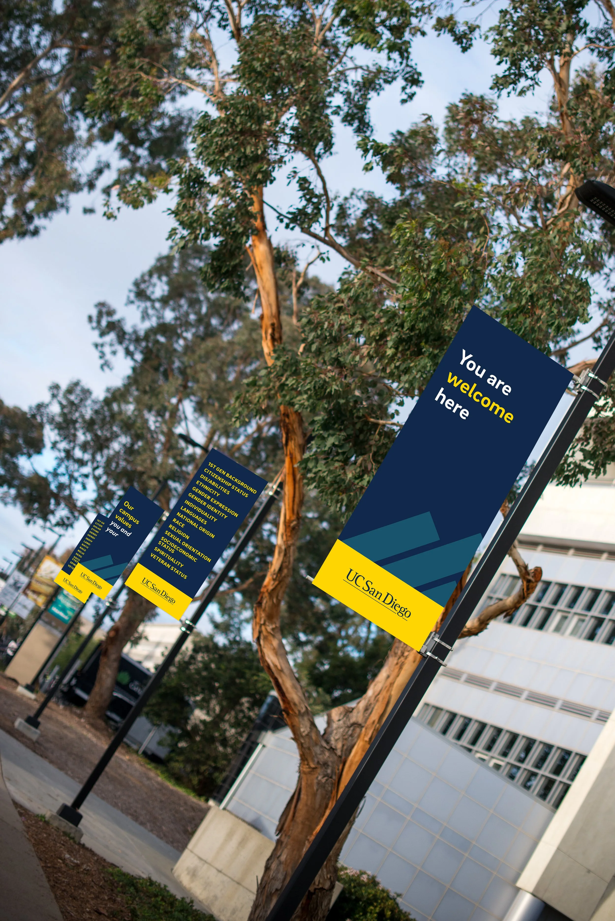 UCSanDiegoPublications_Banner_mockup-v2.jpg