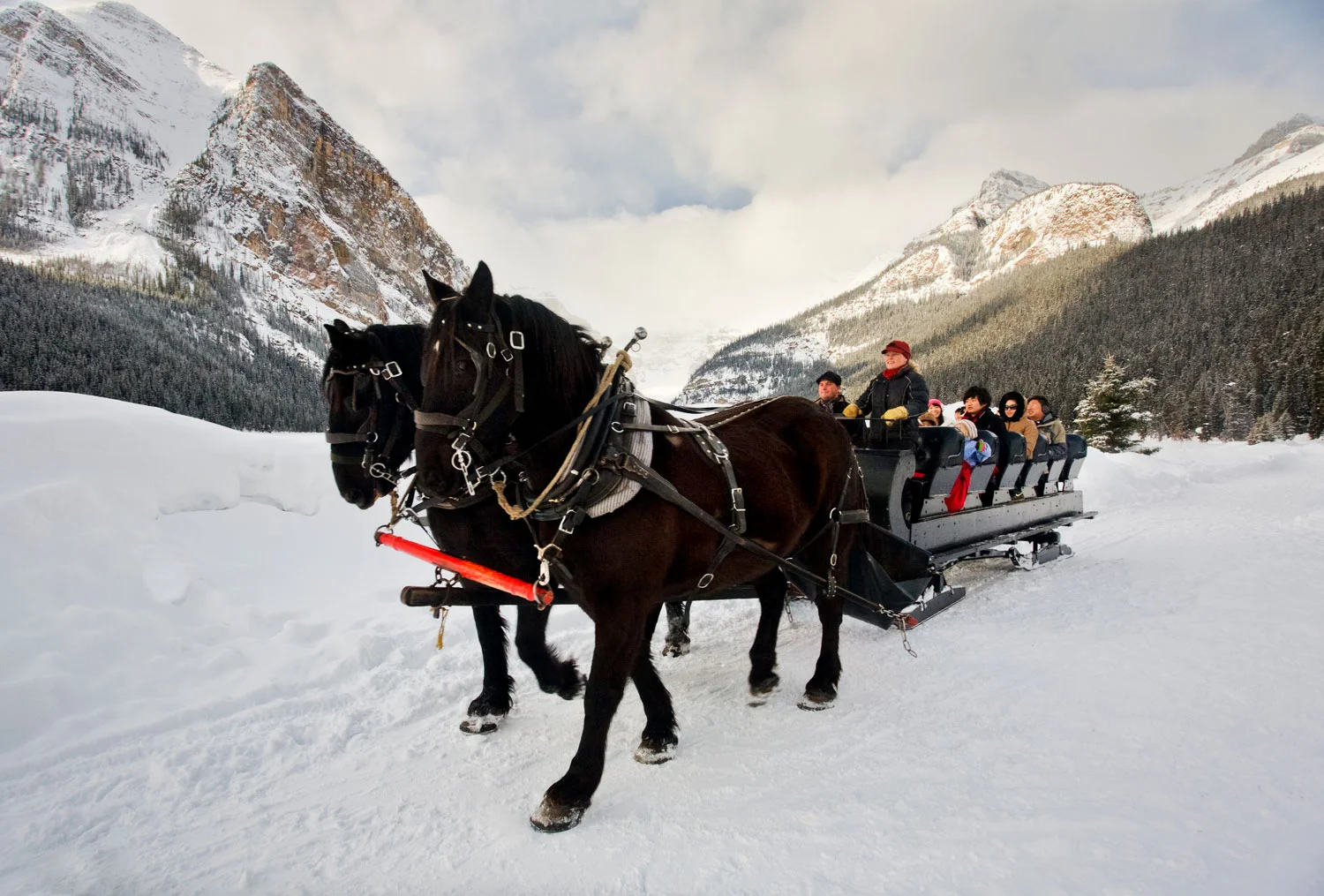 Horse_Sleigh_Ride_Lake_Louise_Paul_Zizka_2_Horizontal-1500x1000.jpg