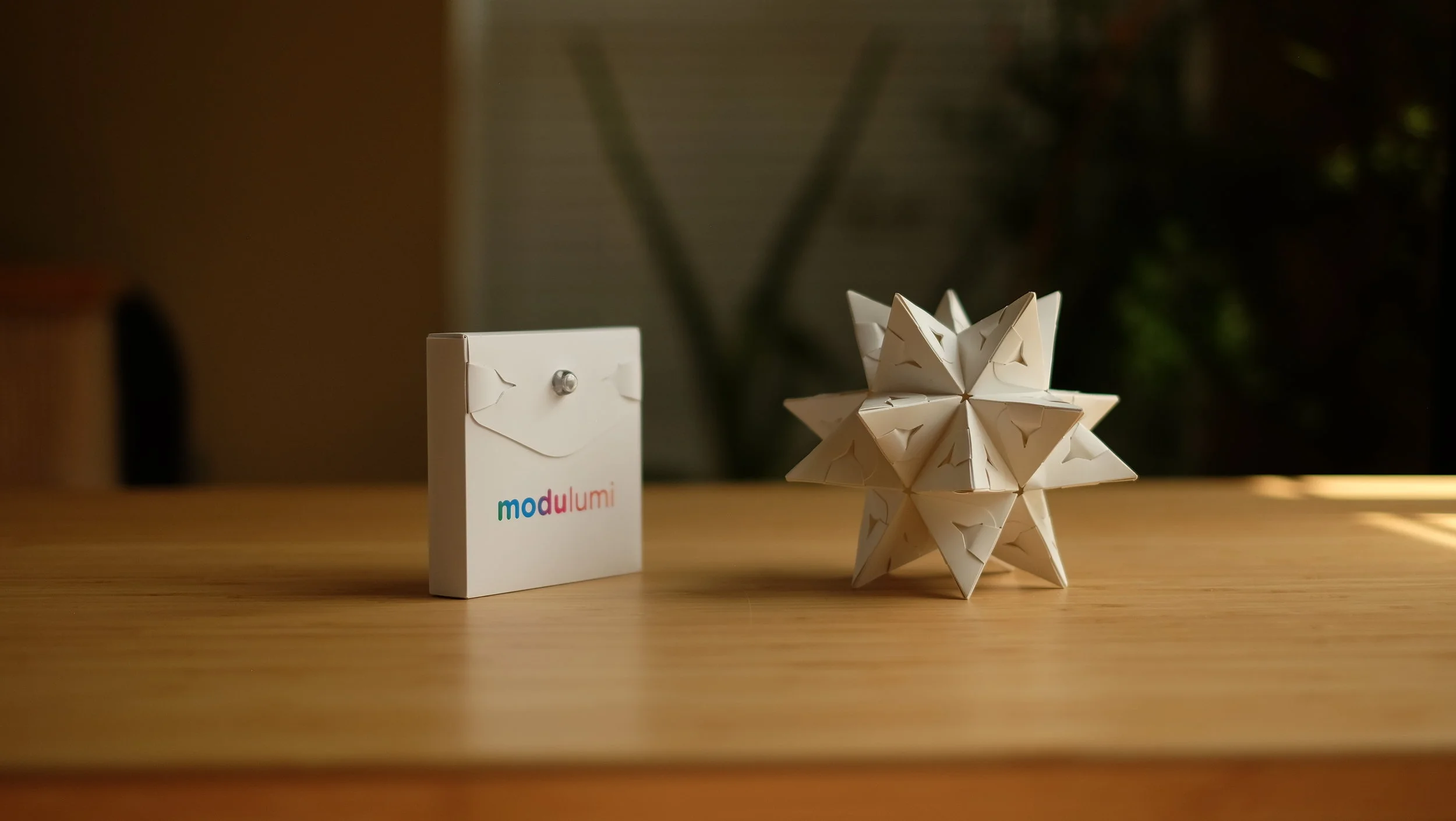 Make a North Star aka large stellated dodecahedron, using 1 set (30 flex pieces).