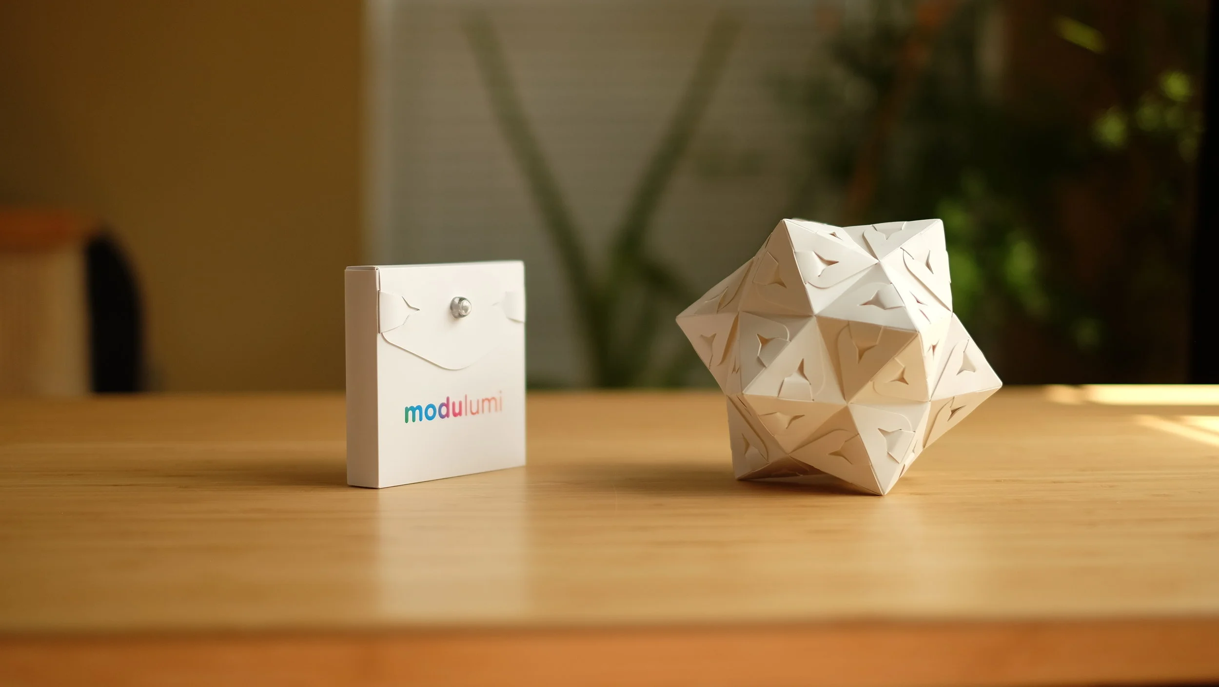 Make this small stellated dodecahedron using 1 set (30 flex pieces).