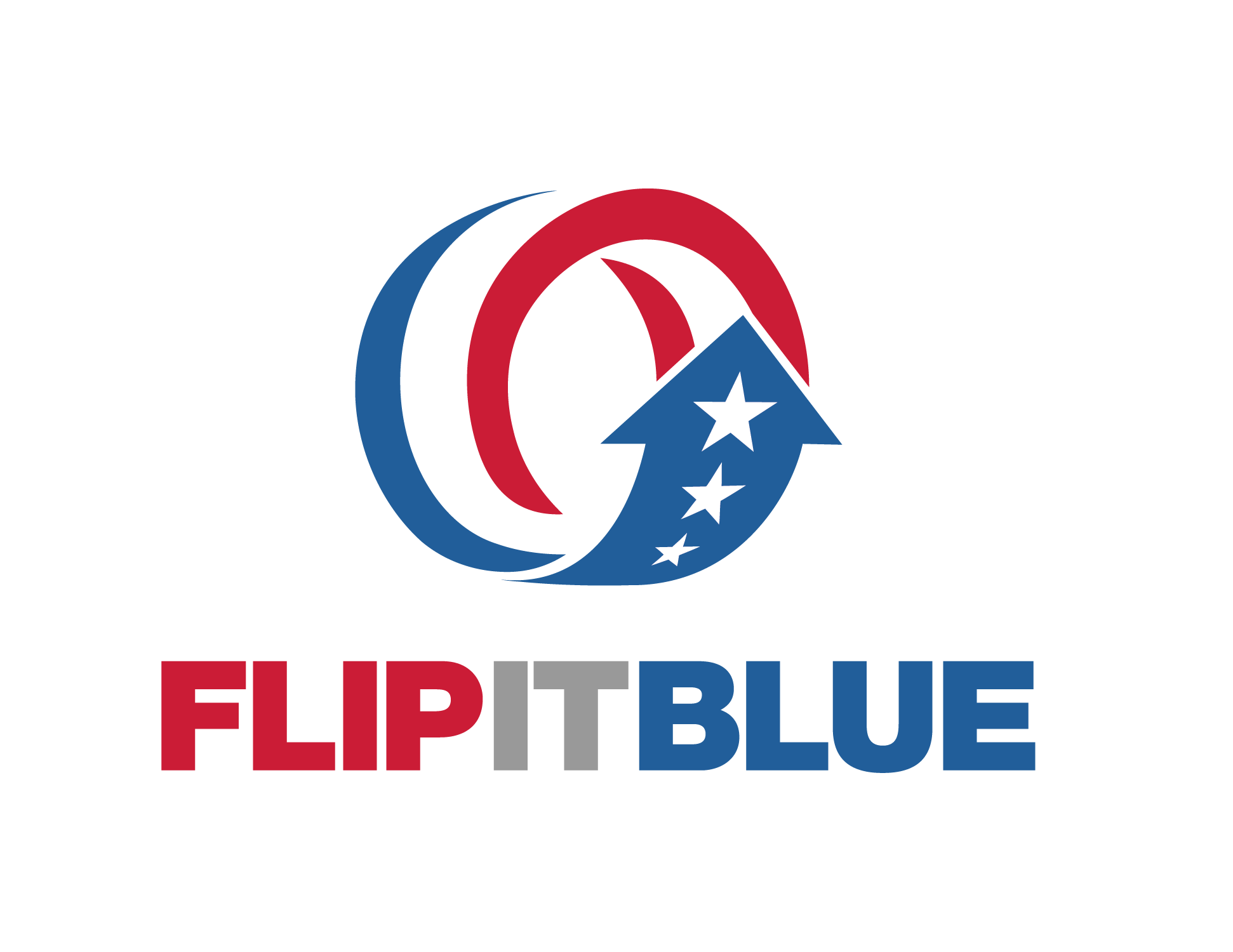 FIB Logo-Gray IT Logo copy.png
