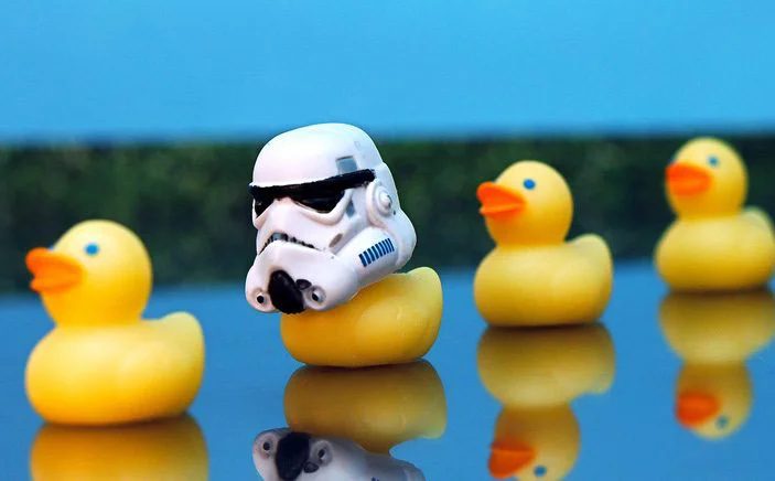 Stand out or check out