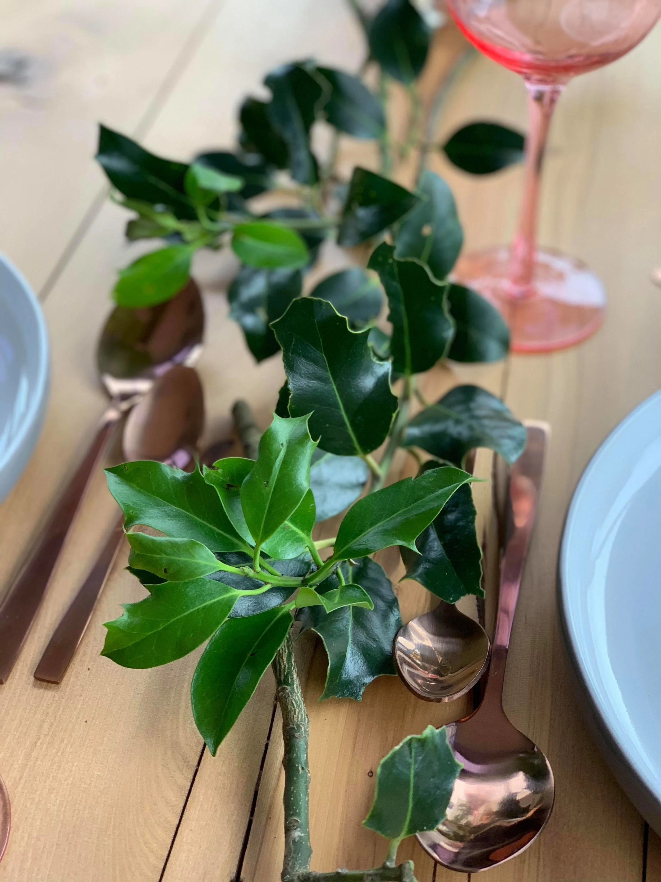 52352344_2147192945349886_887646508881543168_n (2).jpg