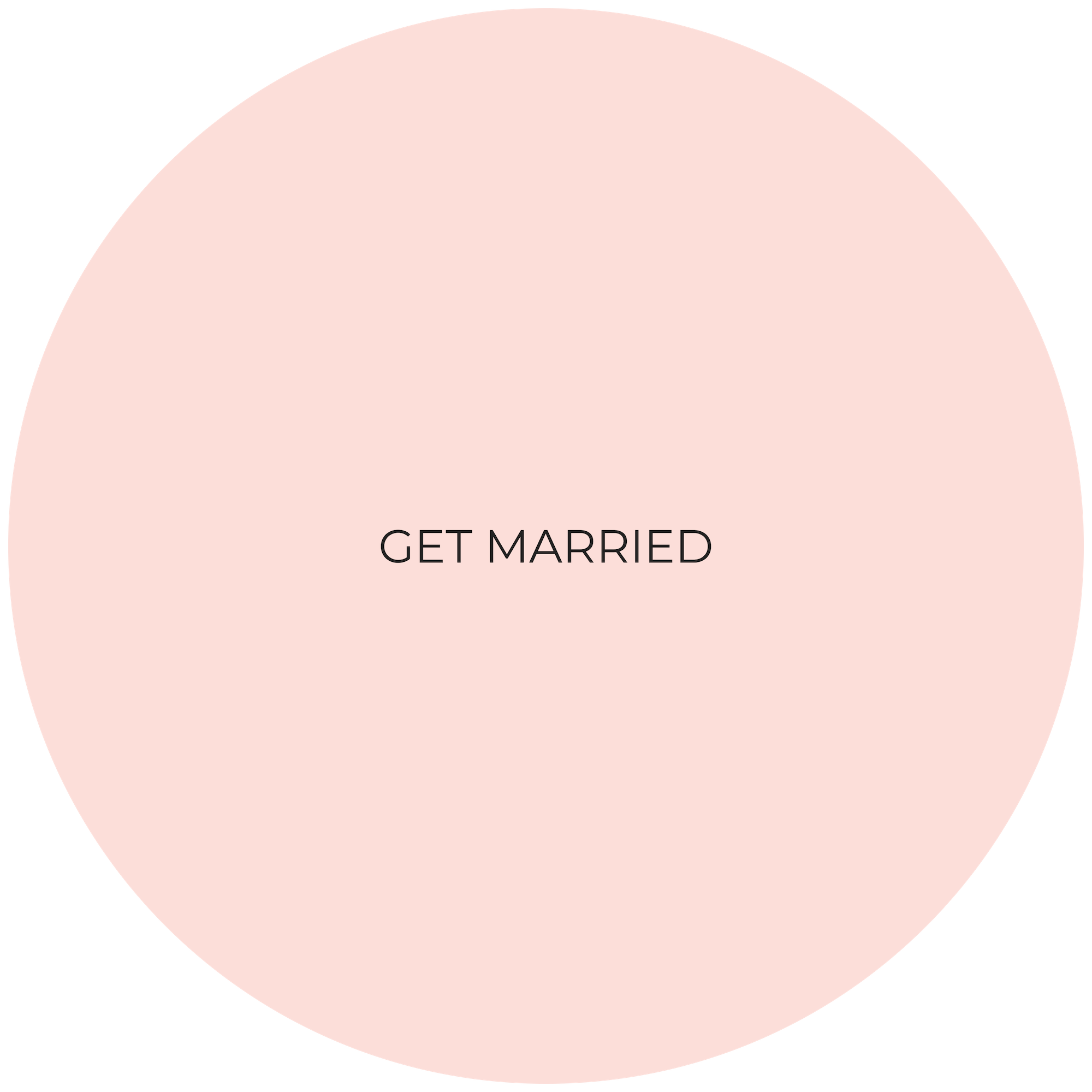 lt pink circle image (1).png