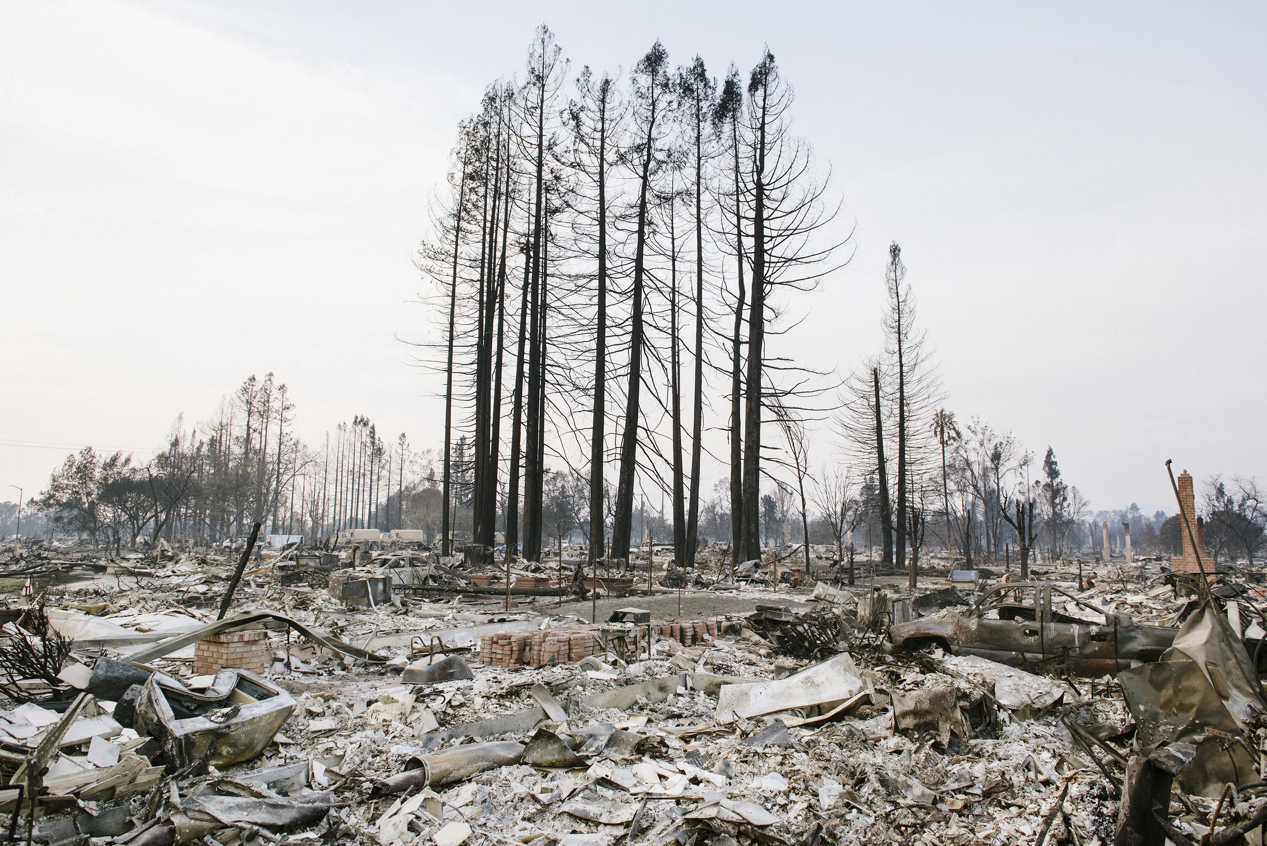 The destroyed Coffey Park neighborhood in Santa Rosa, CA following the Tubbs Fire in 2017