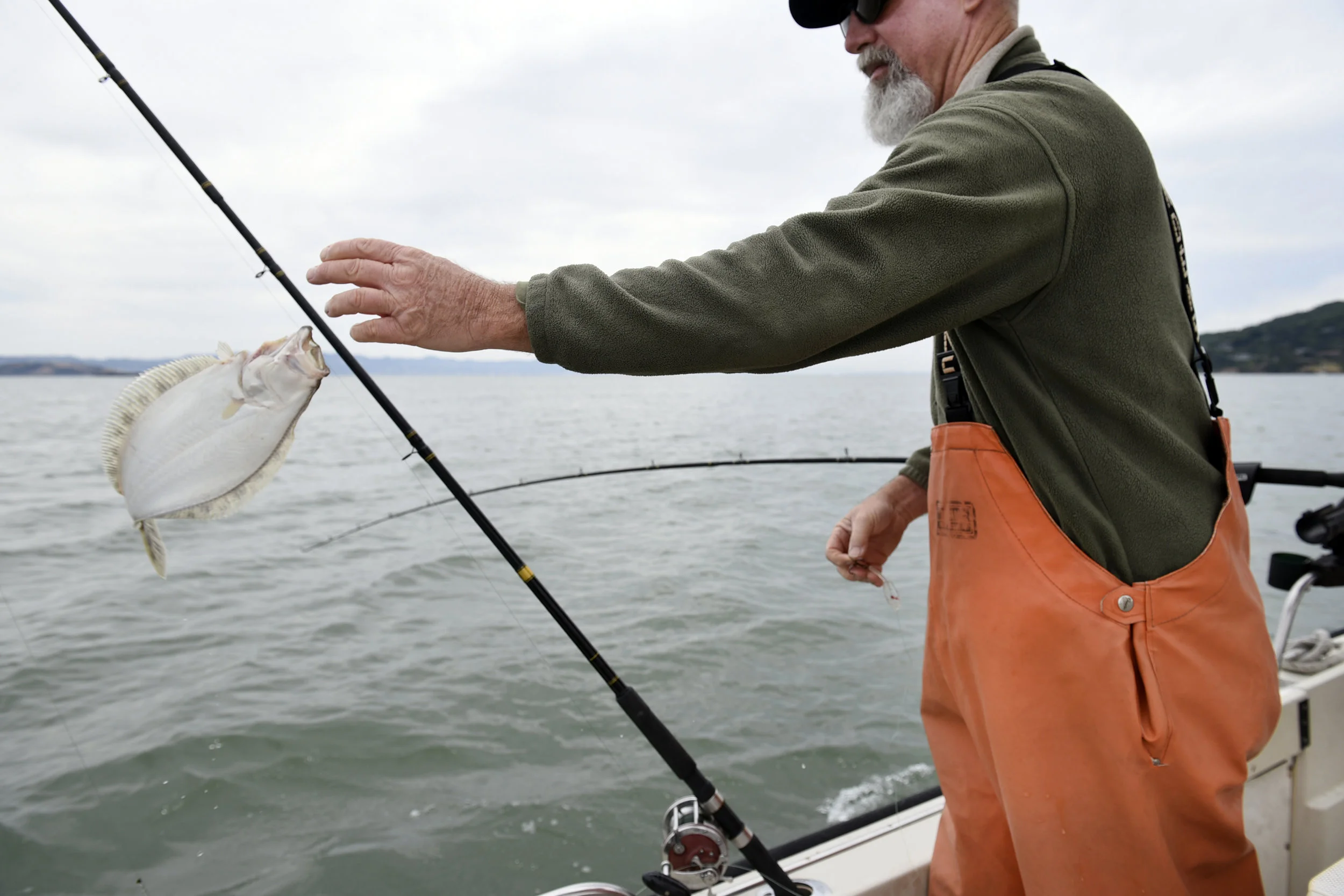 halibut0612_30.JPG