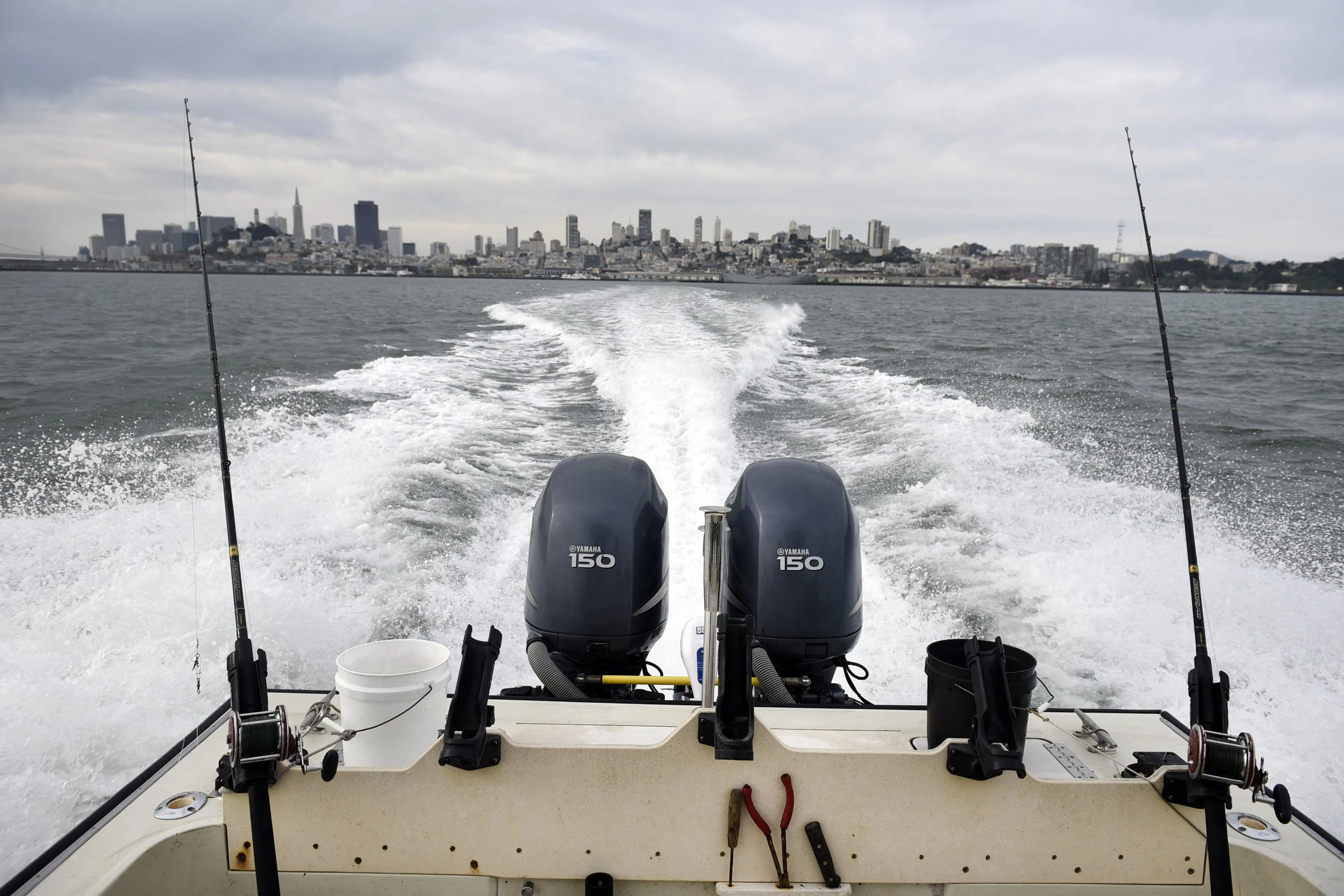 halibut0612_04.JPG