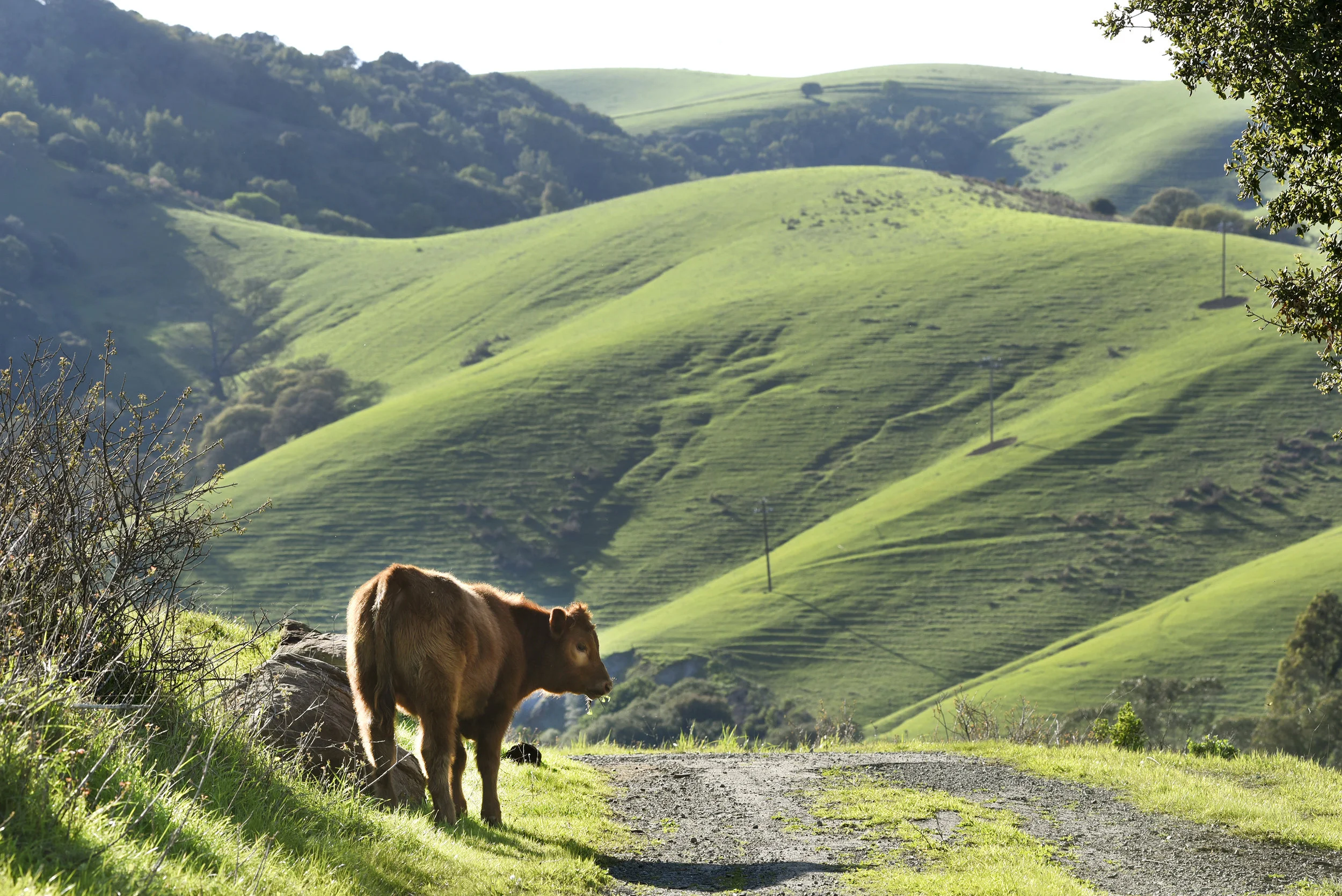  Carquinez Straight Regional Shoreline for the East Bay Regional Parks Department 
