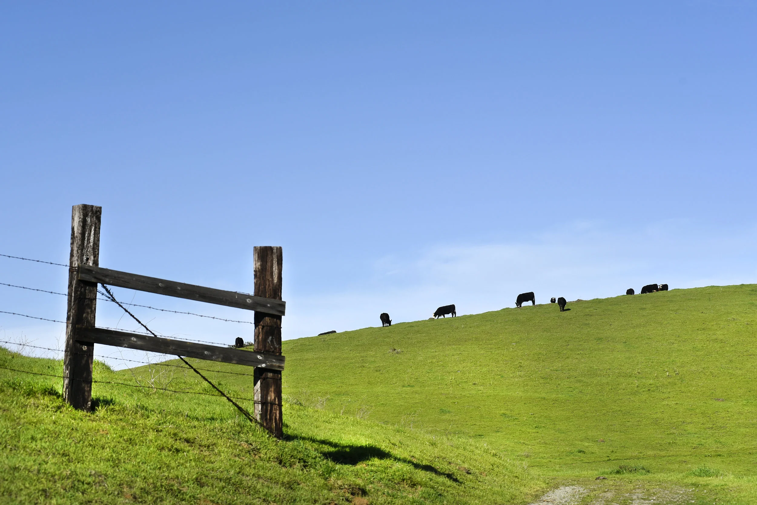  Carquinez Straight Regional Shoreline for the East Bay Regional Parks Department  