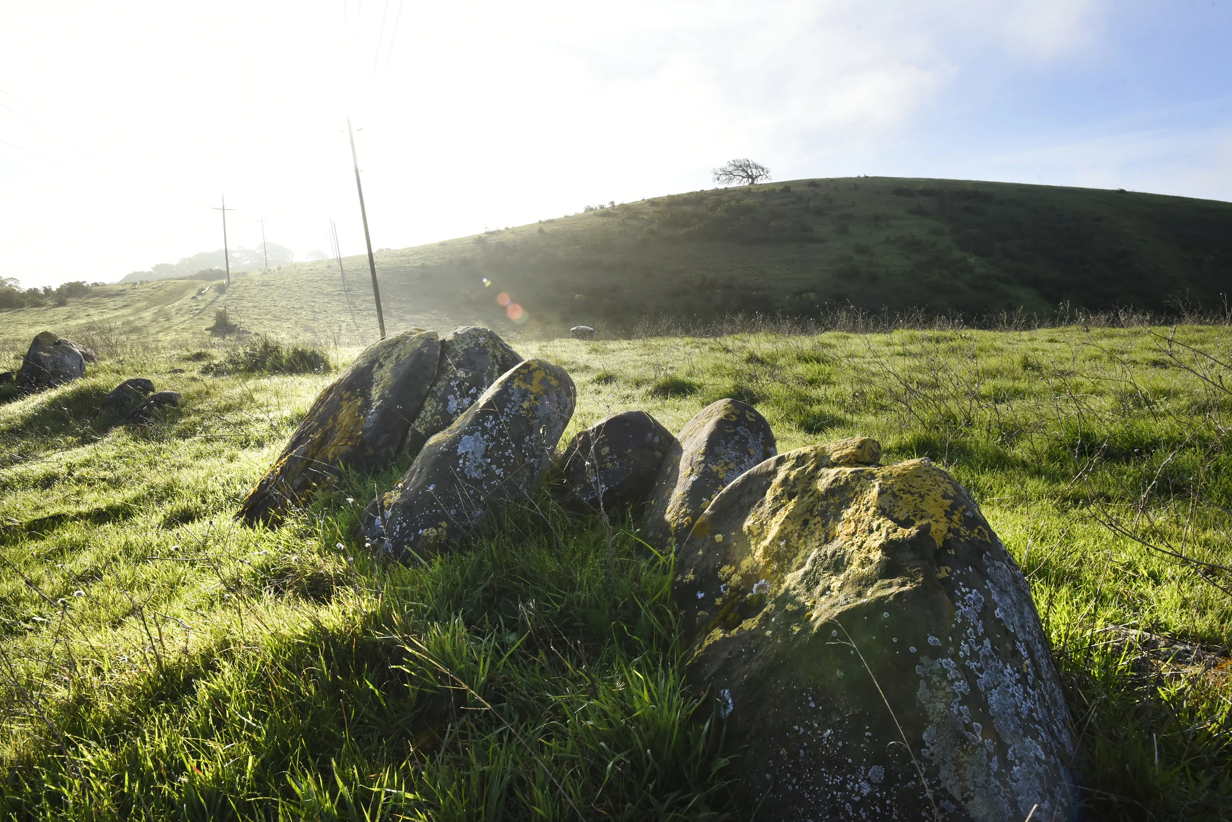  Carquinez Straight Regional Shoreline for the East Bay Regional Parks Department 