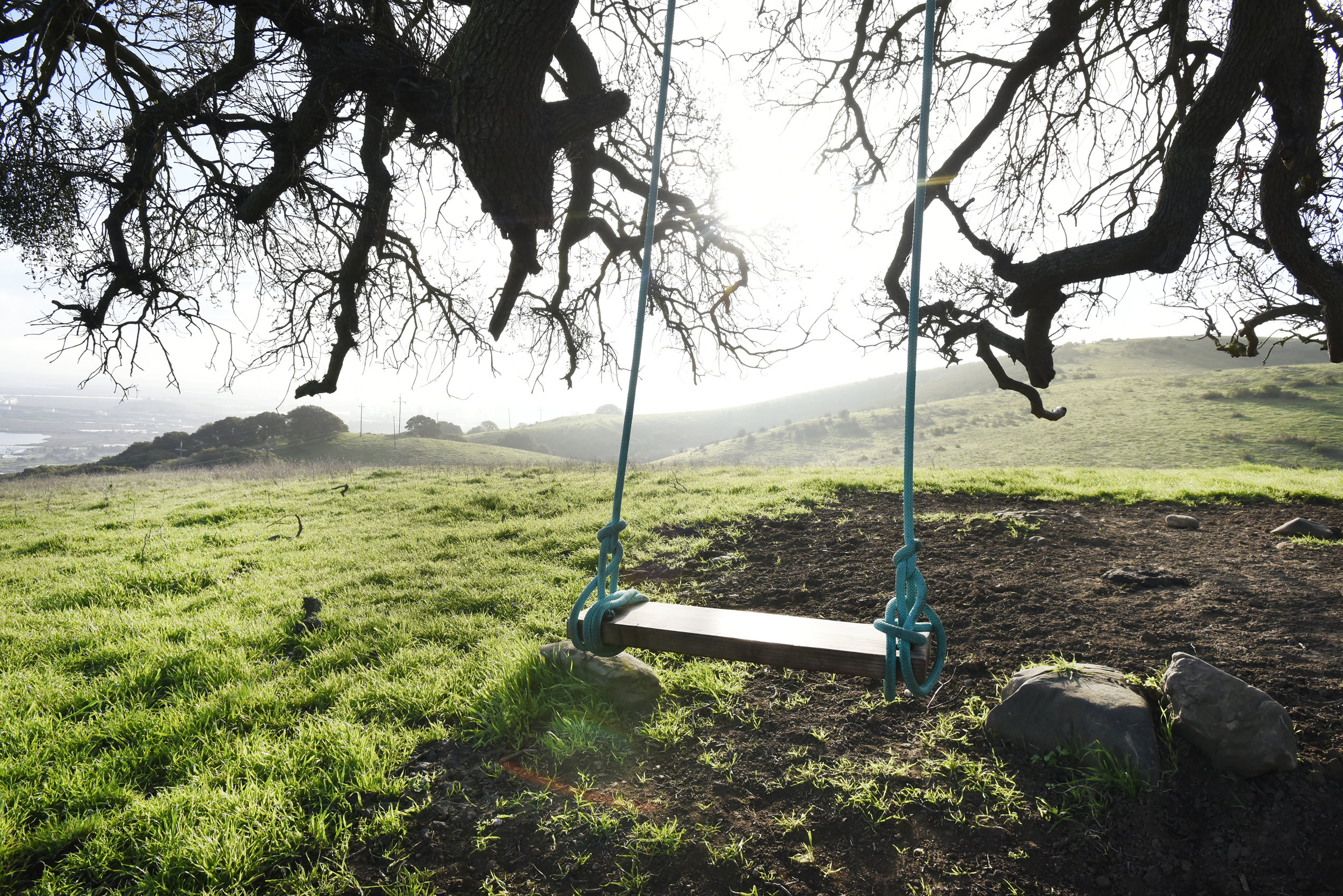  Carquinez Straight Regional Shoreline for the East Bay Regional Parks Department 