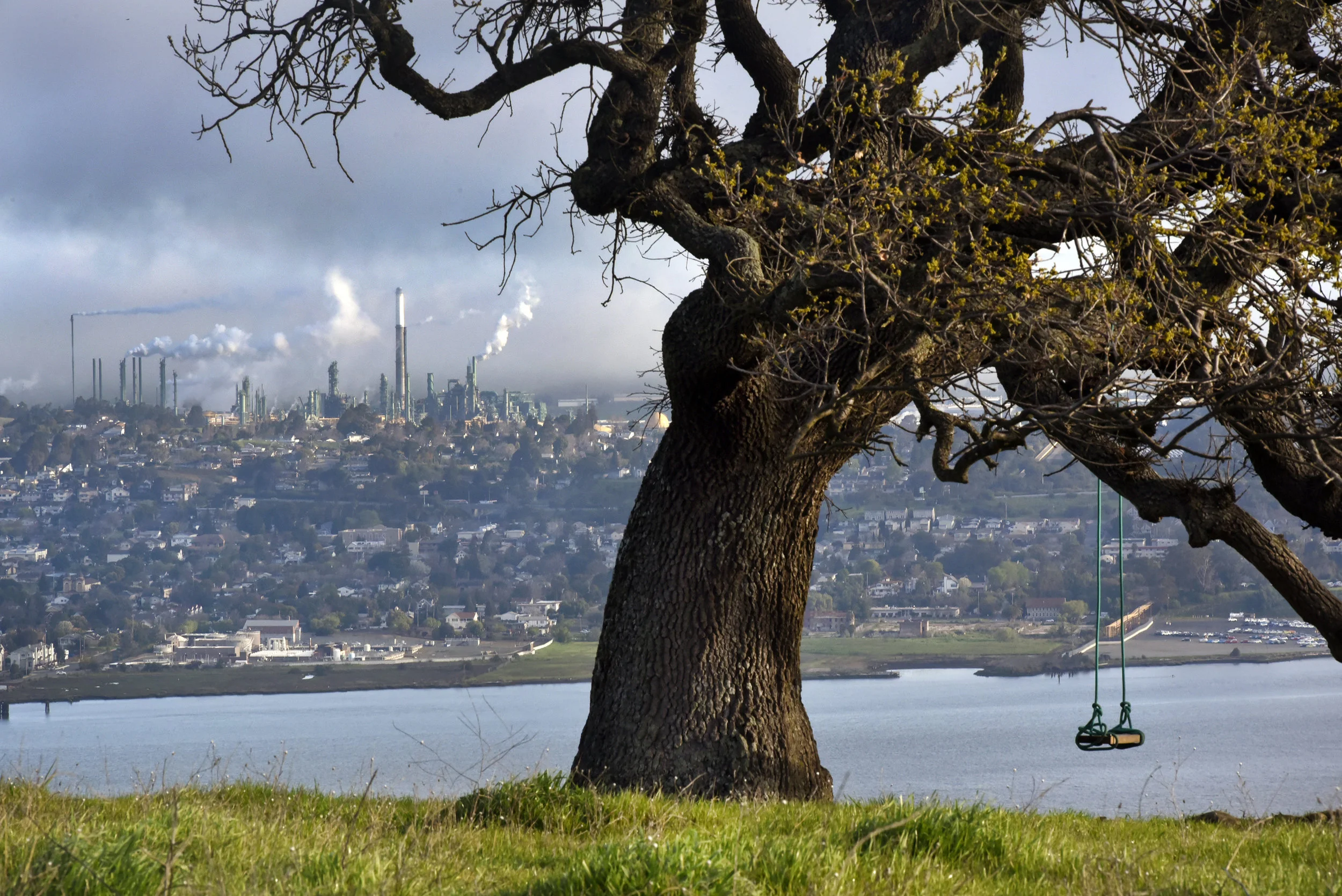  Carquinez Straight Regional Shoreline for the East Bay Regional Parks Department 