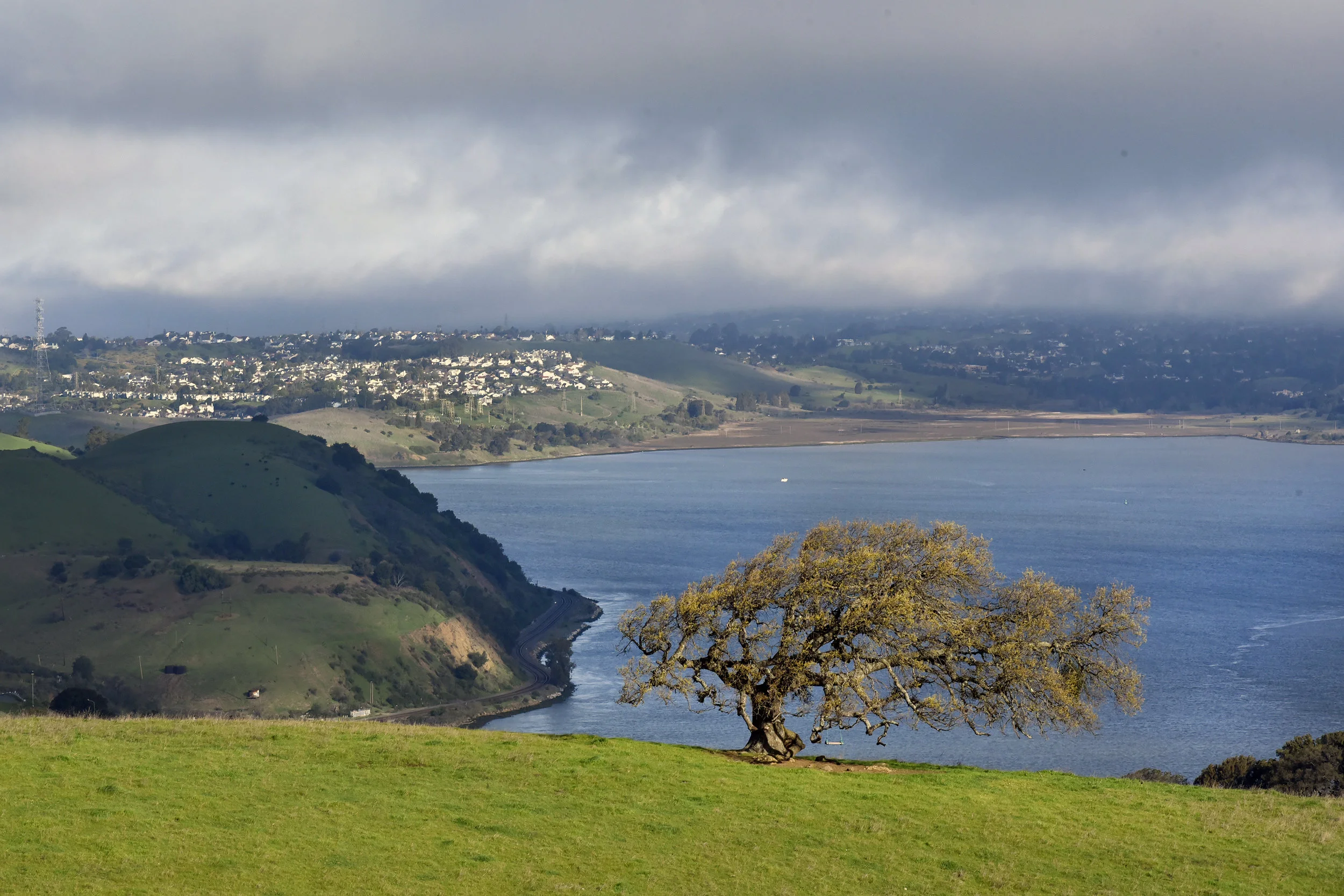  Carquinez Straight Regional Shoreline for the East Bay Regional Parks Department 