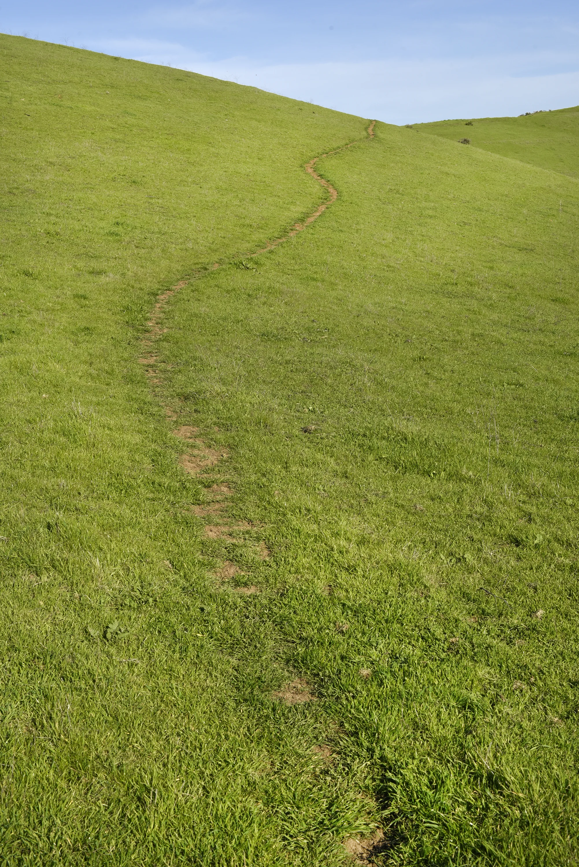  Carquinez Straight Regional Shoreline for the East Bay Regional Parks Department 