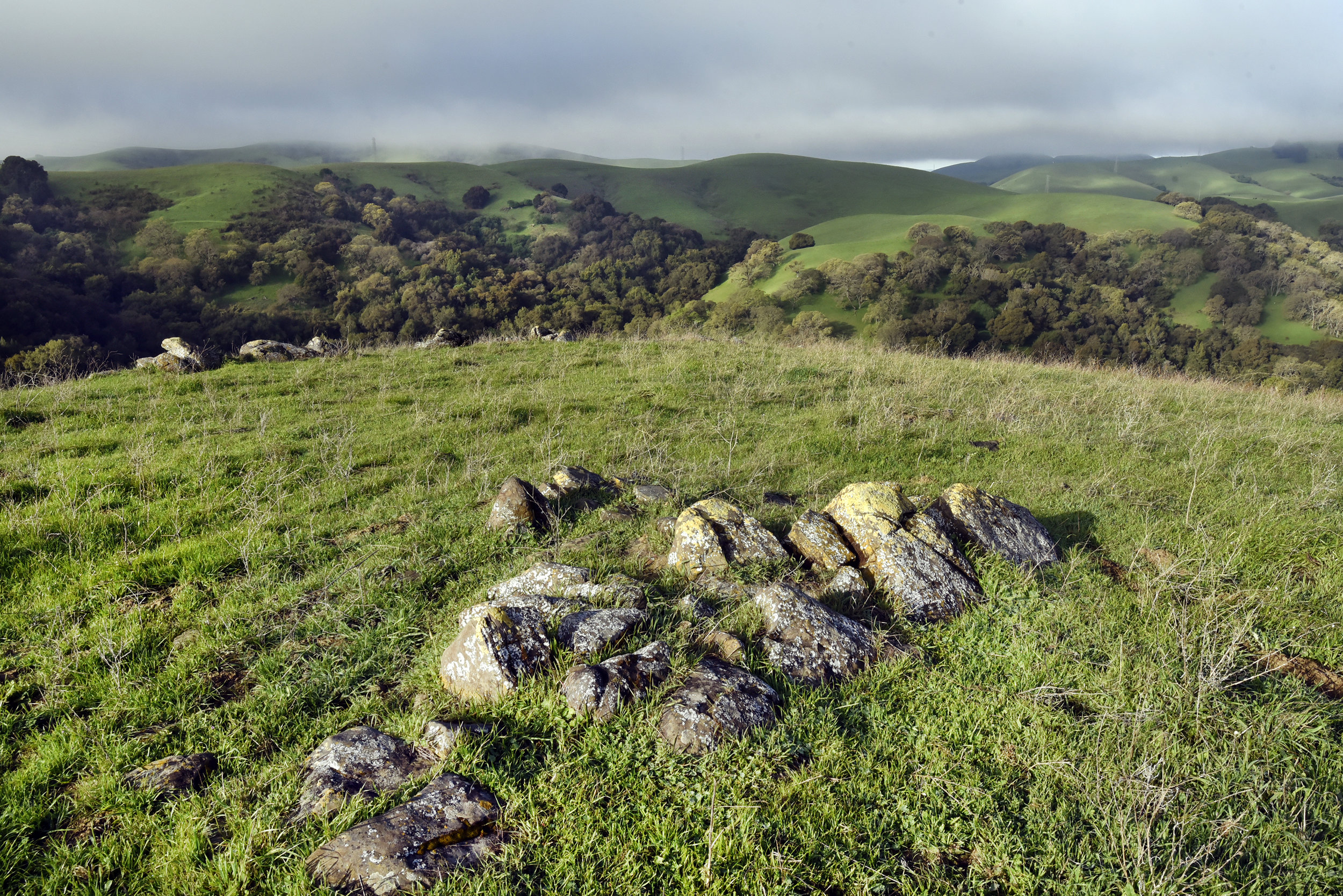  Carquinez Straight Regional Shoreline for the East Bay Regional Parks Department 