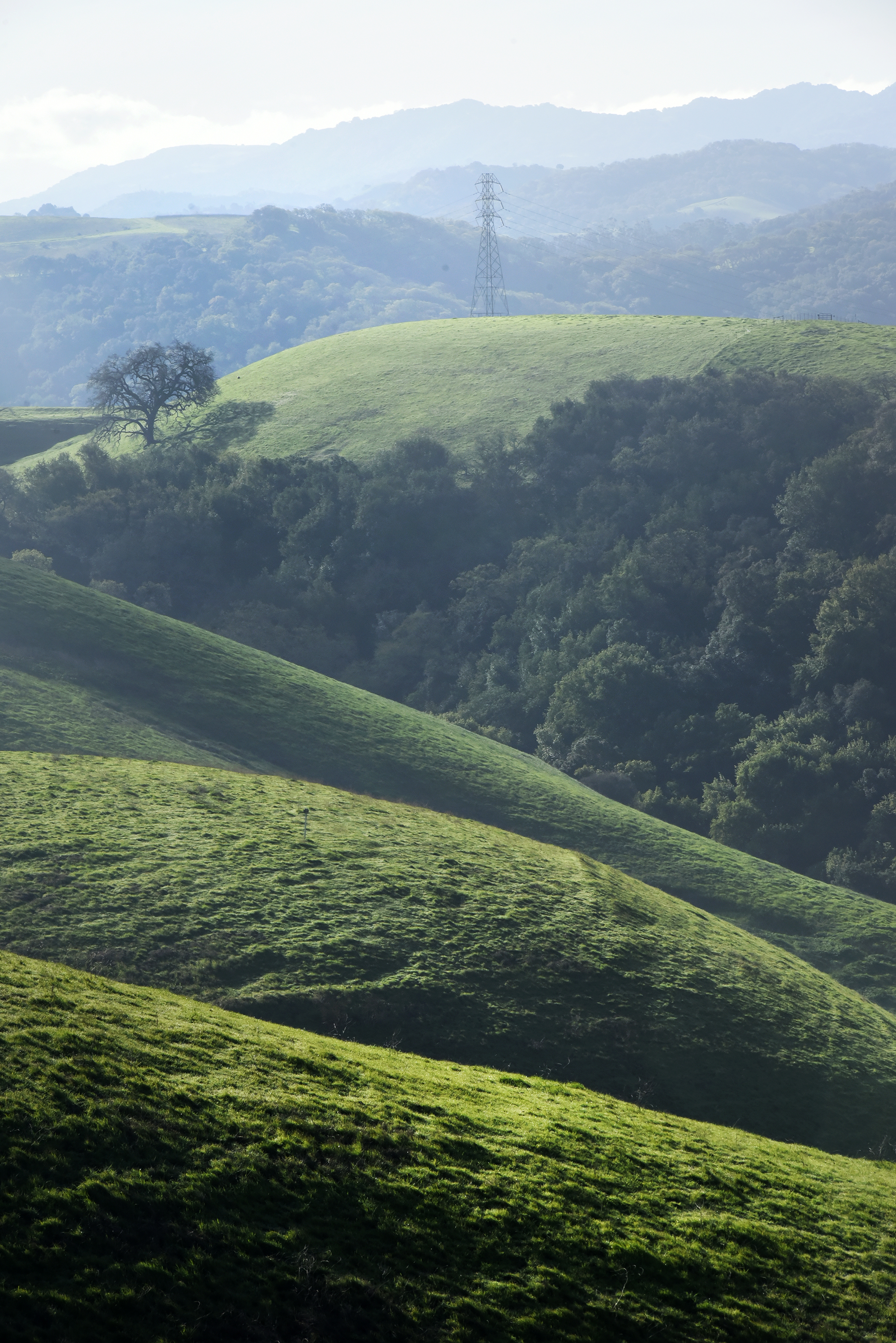  Carquinez Straight Regional Shoreline for the East Bay Regional Parks Department 