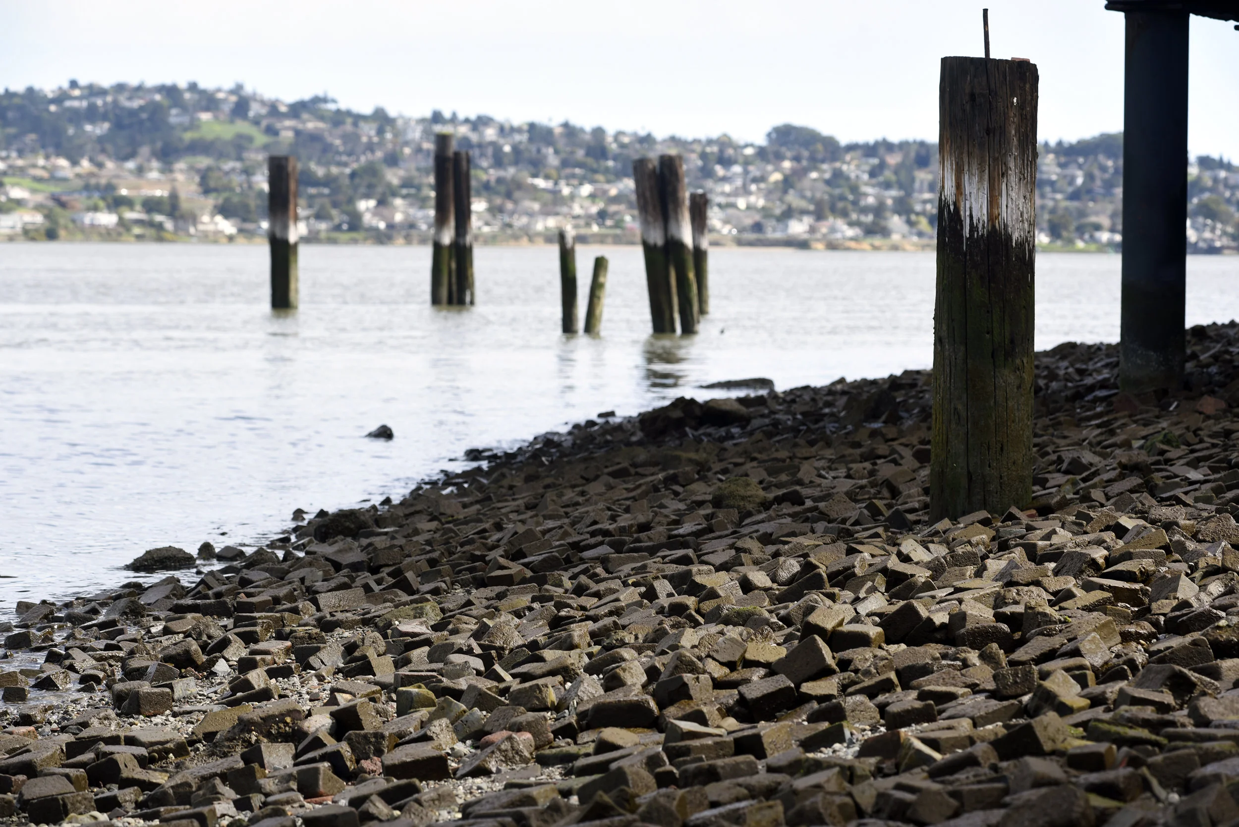  Carquinez Straight Regional Shoreline for the East Bay Regional Parks Department 