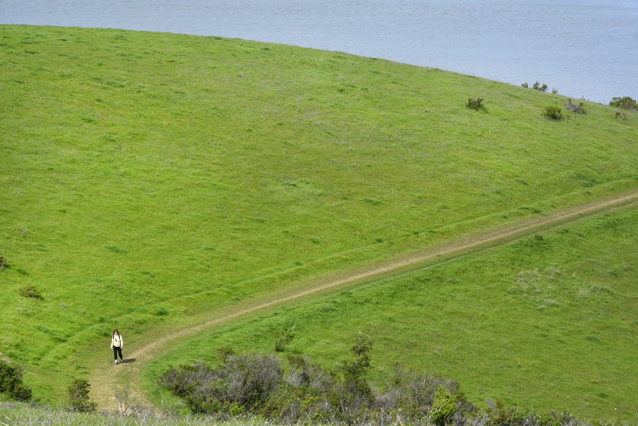  Carquinez Straight Regional Shoreline for the East Bay Regional Parks Department 