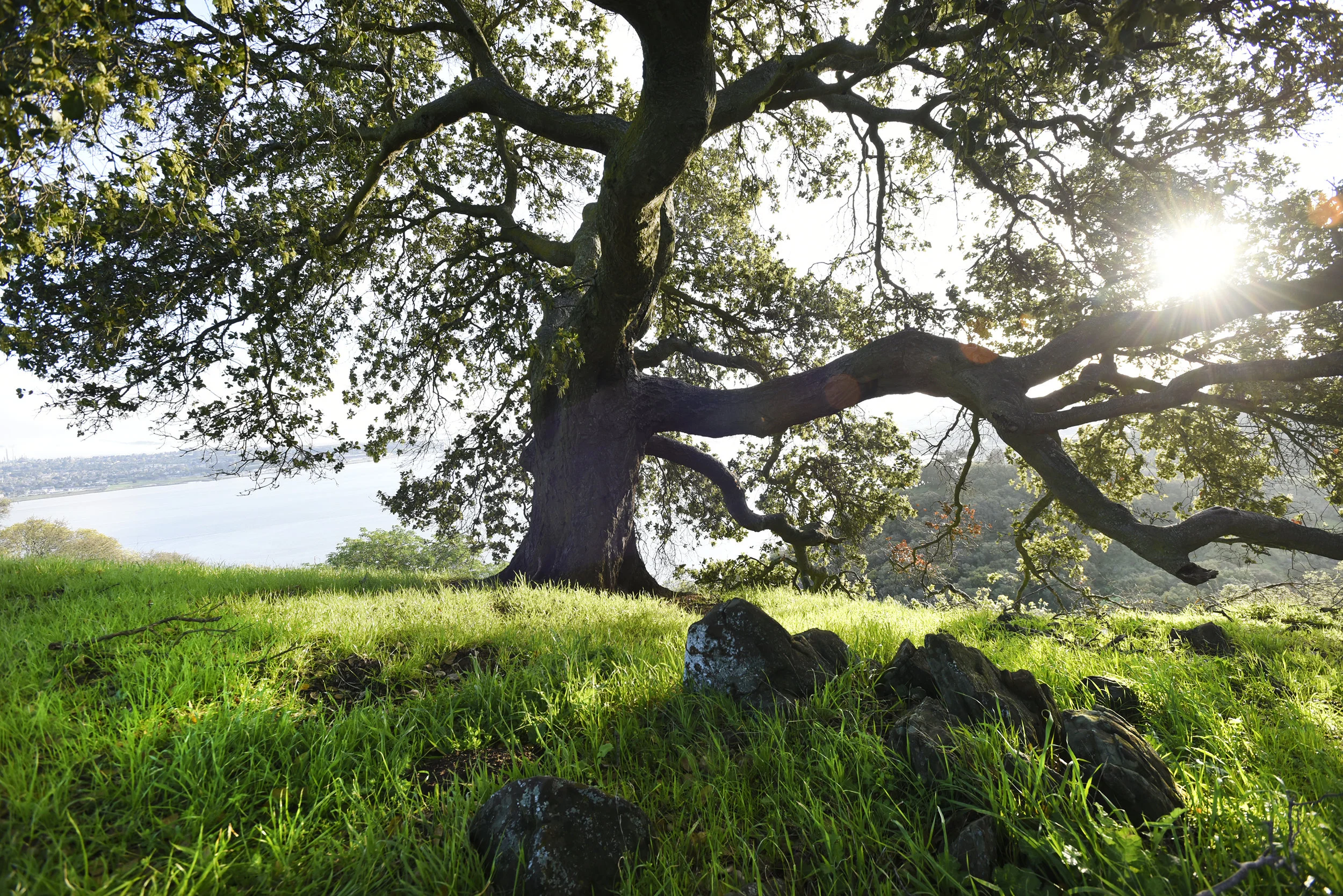  Carquinez Straight Regional Shoreline for the East Bay Regional Parks Department 