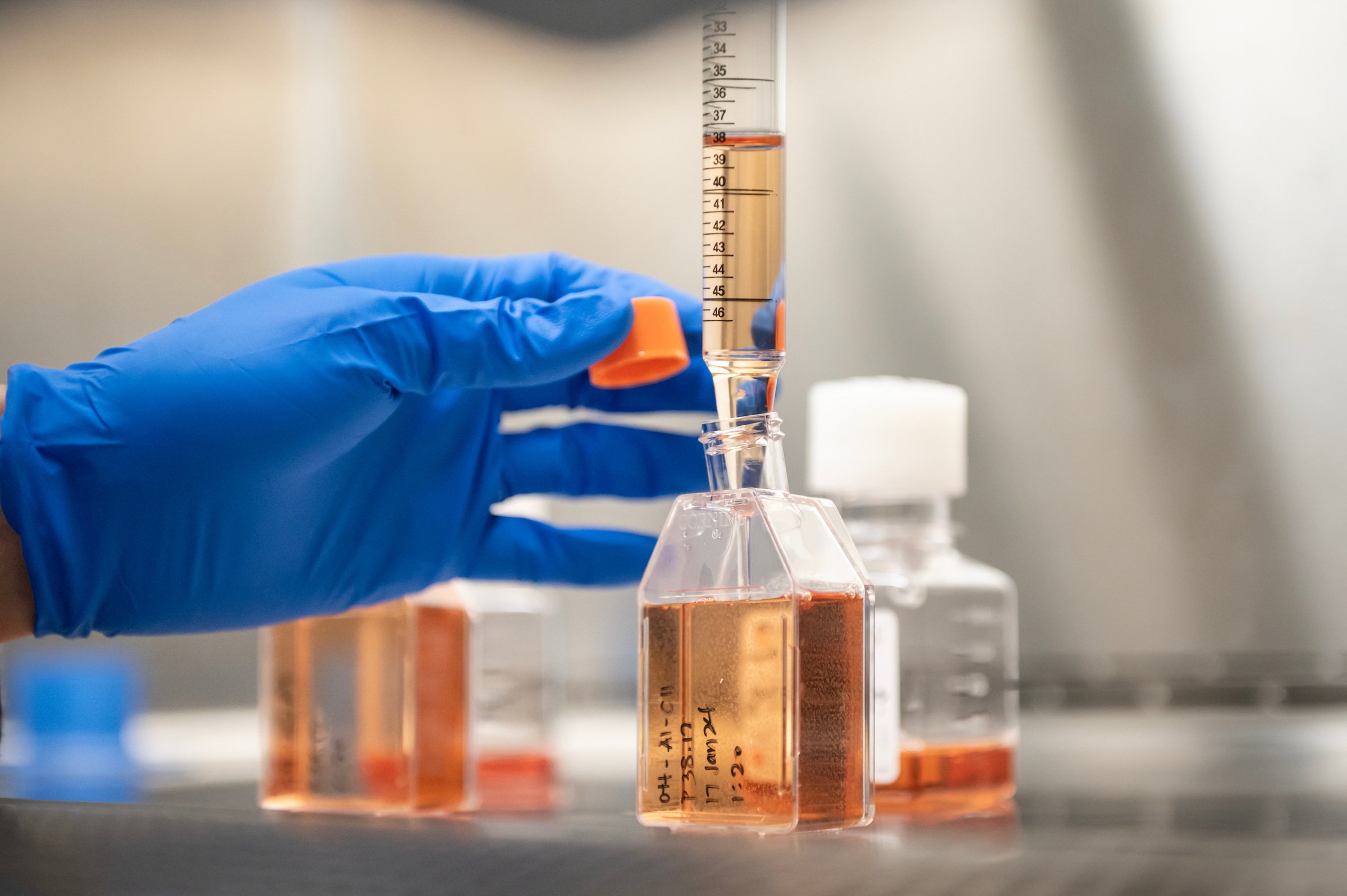  Work generated as a staff photographer for Gladstone Institutes, a non-profit bio medical research institute. 