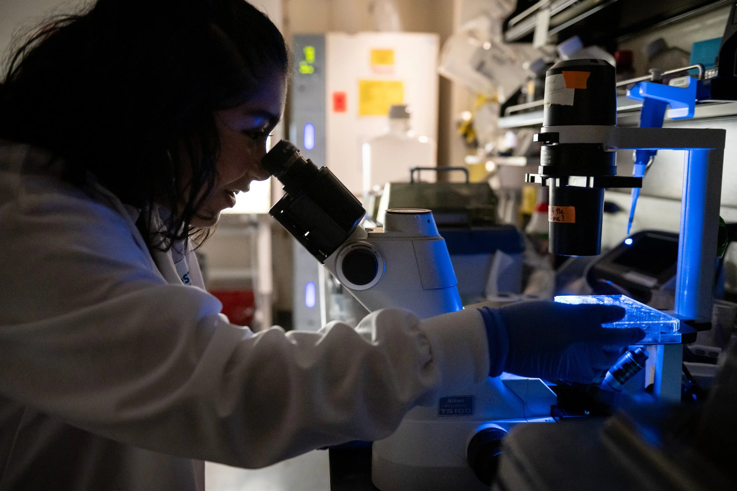  Work generated as a staff photographer for Gladstone Institutes, a non-profit bio medical research institute. 