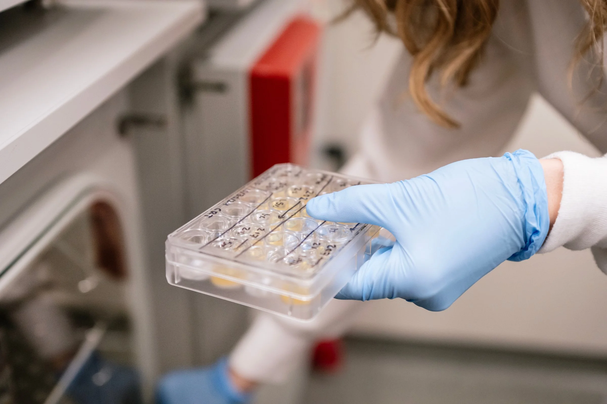  Work generated as a staff photographer for Gladstone Institutes, a non-profit bio medical research institute. 