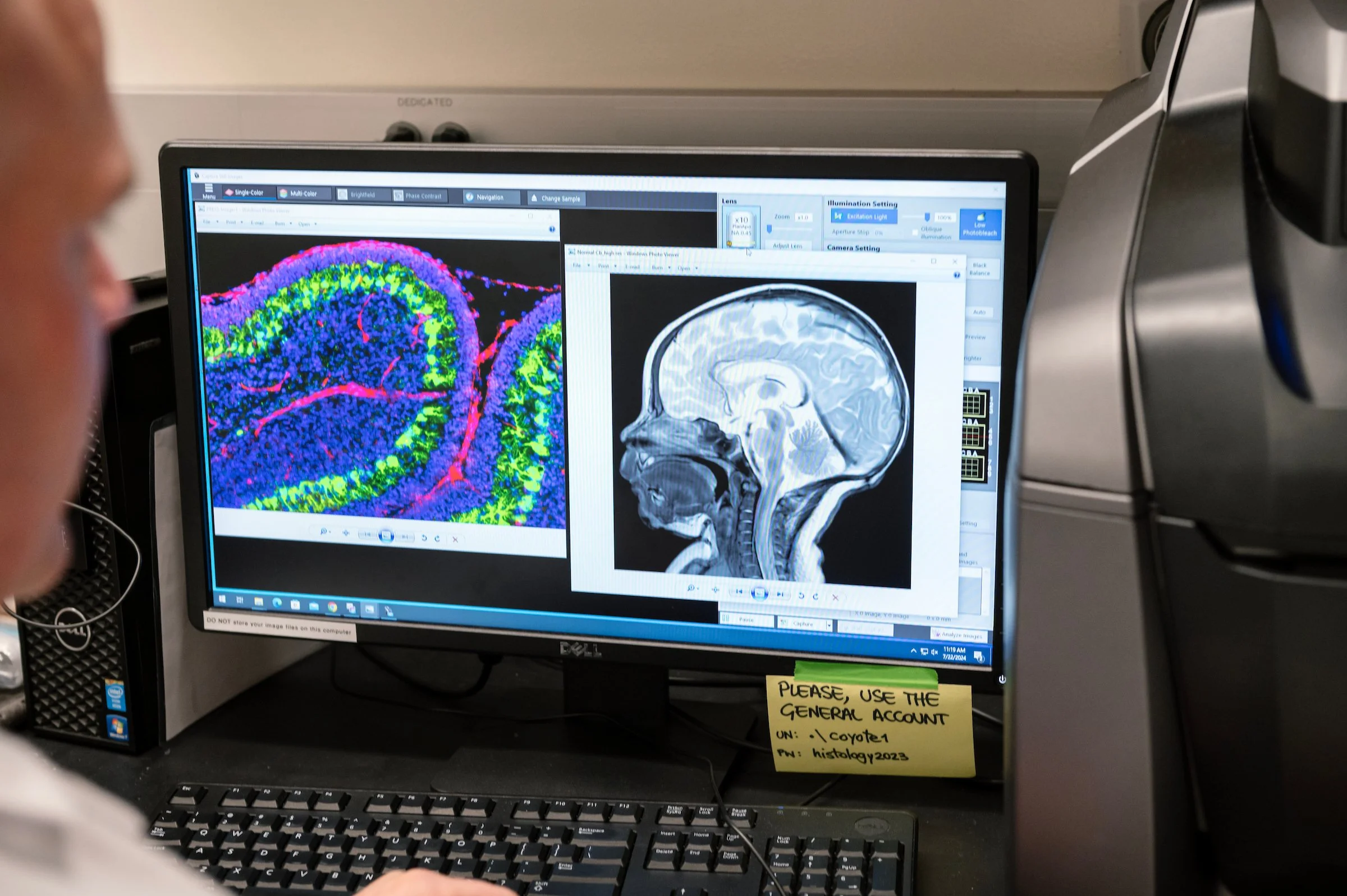  Work generated as a staff photographer for Gladstone Institutes, a non-profit bio medical research institute. 