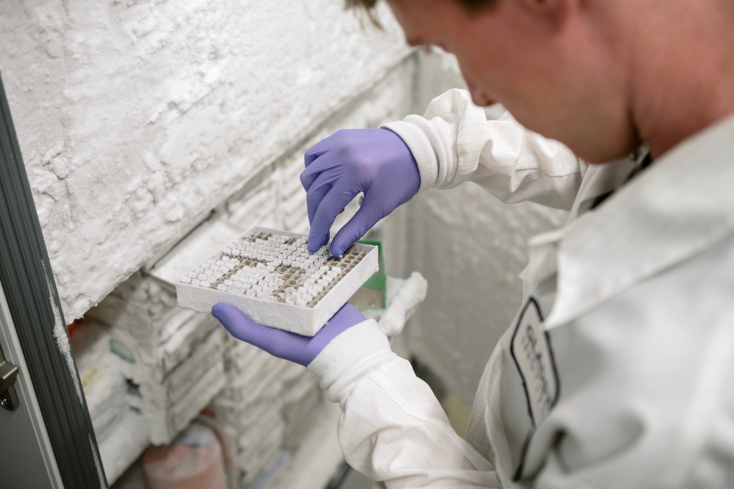  Work generated as a staff photographer for Gladstone Institutes, a non-profit bio medical research institute. 