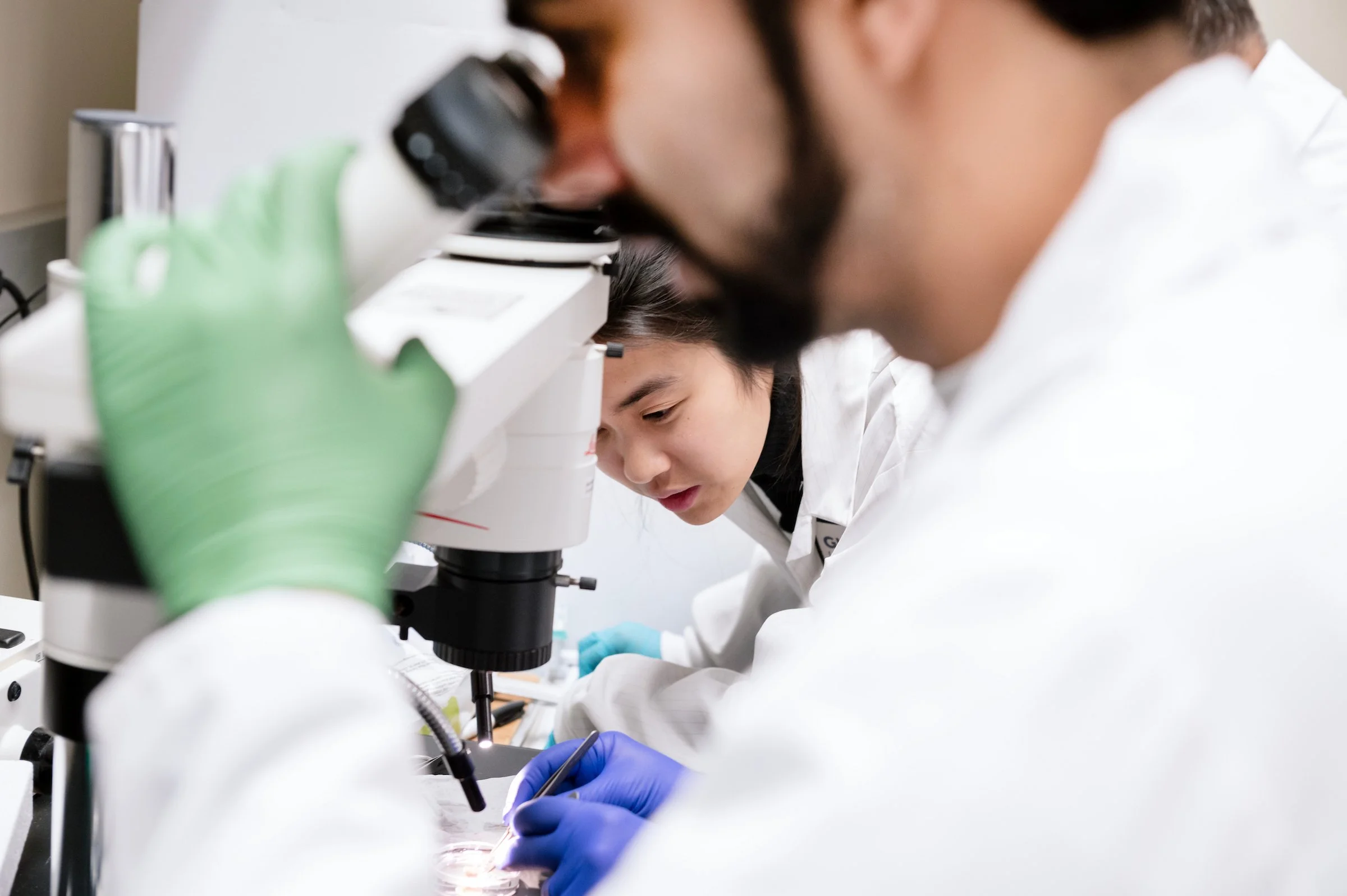  Work generated as a staff photographer for Gladstone Institutes, a non-profit bio medical research institute. 