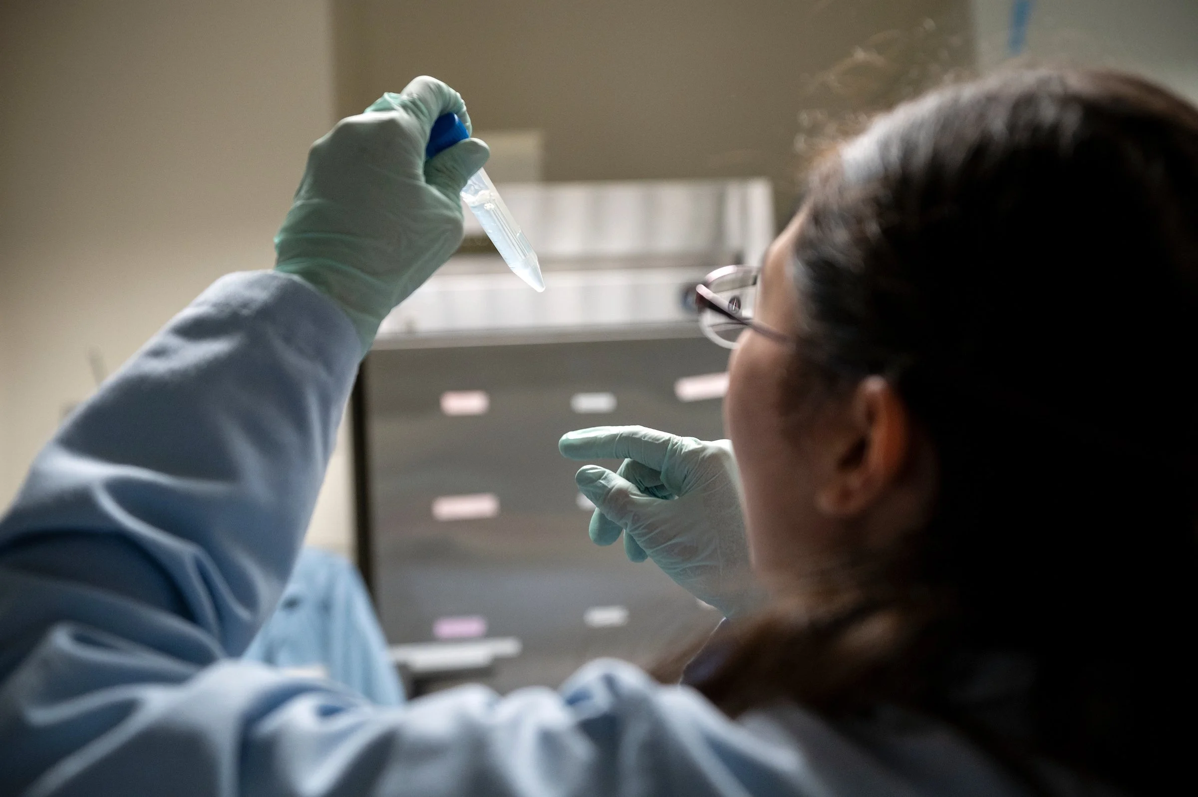  Work generated as a staff photographer for Gladstone Institutes, a non-profit bio medical research institute. 