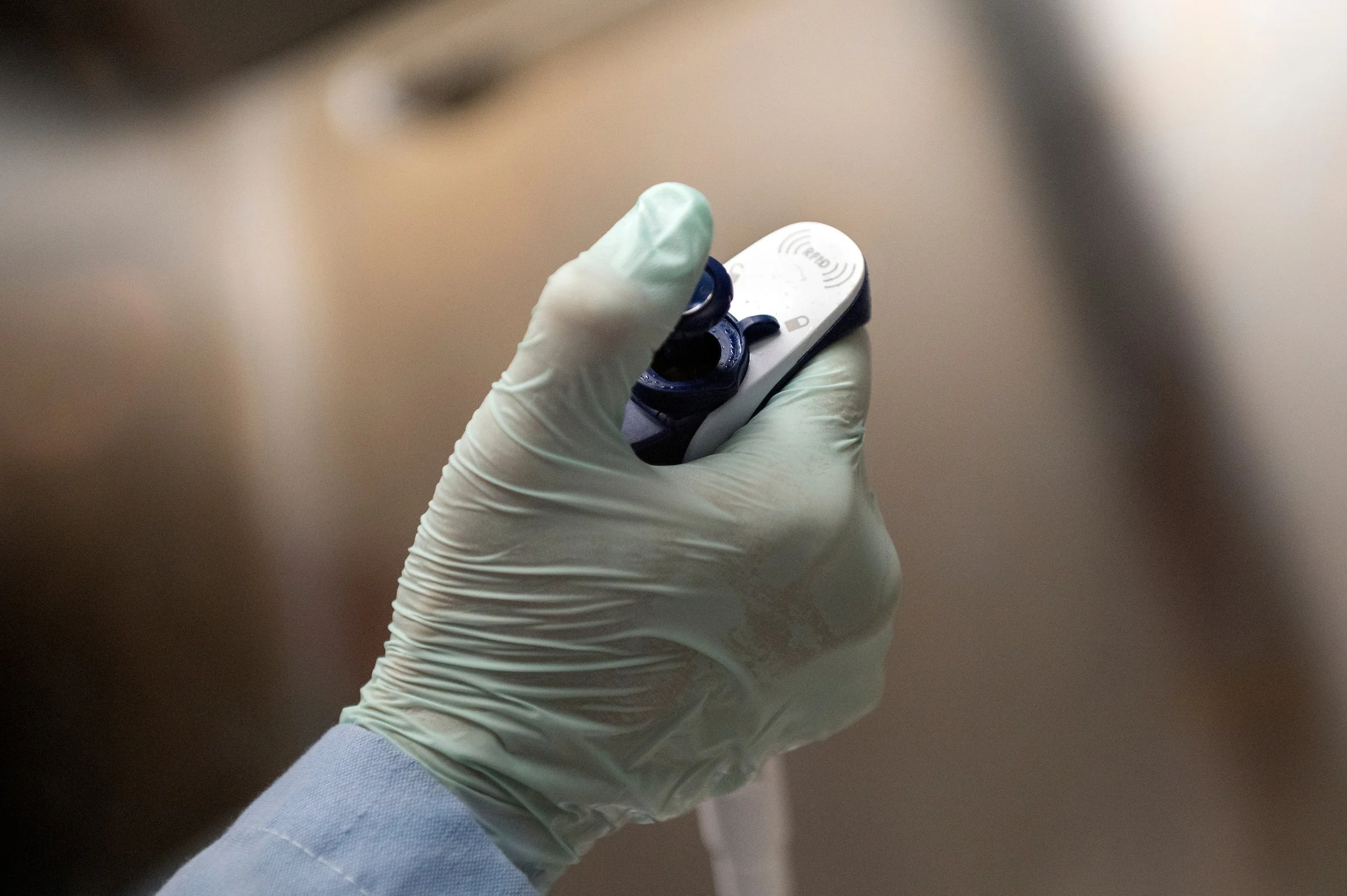  Work generated as a staff photographer for Gladstone Institutes, a non-profit bio medical research institute. 