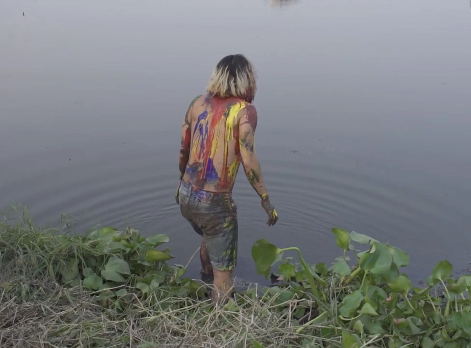 Video Works from the Collection - Fall 2019