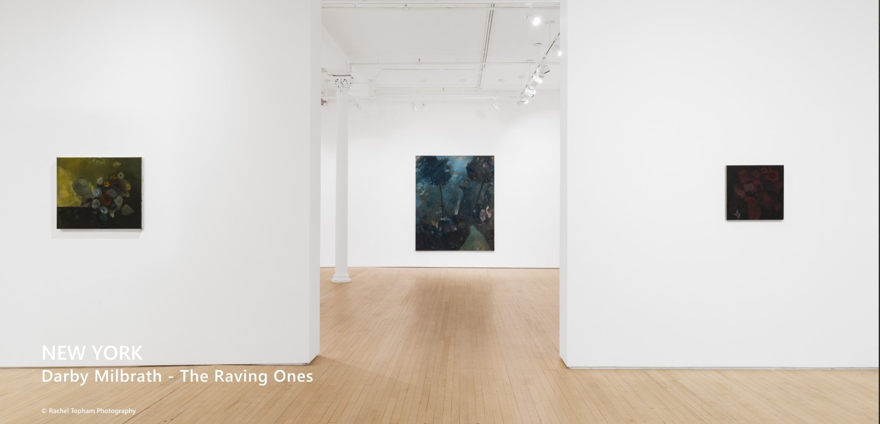 Darby Milbrath -The Raving Ones.jpg