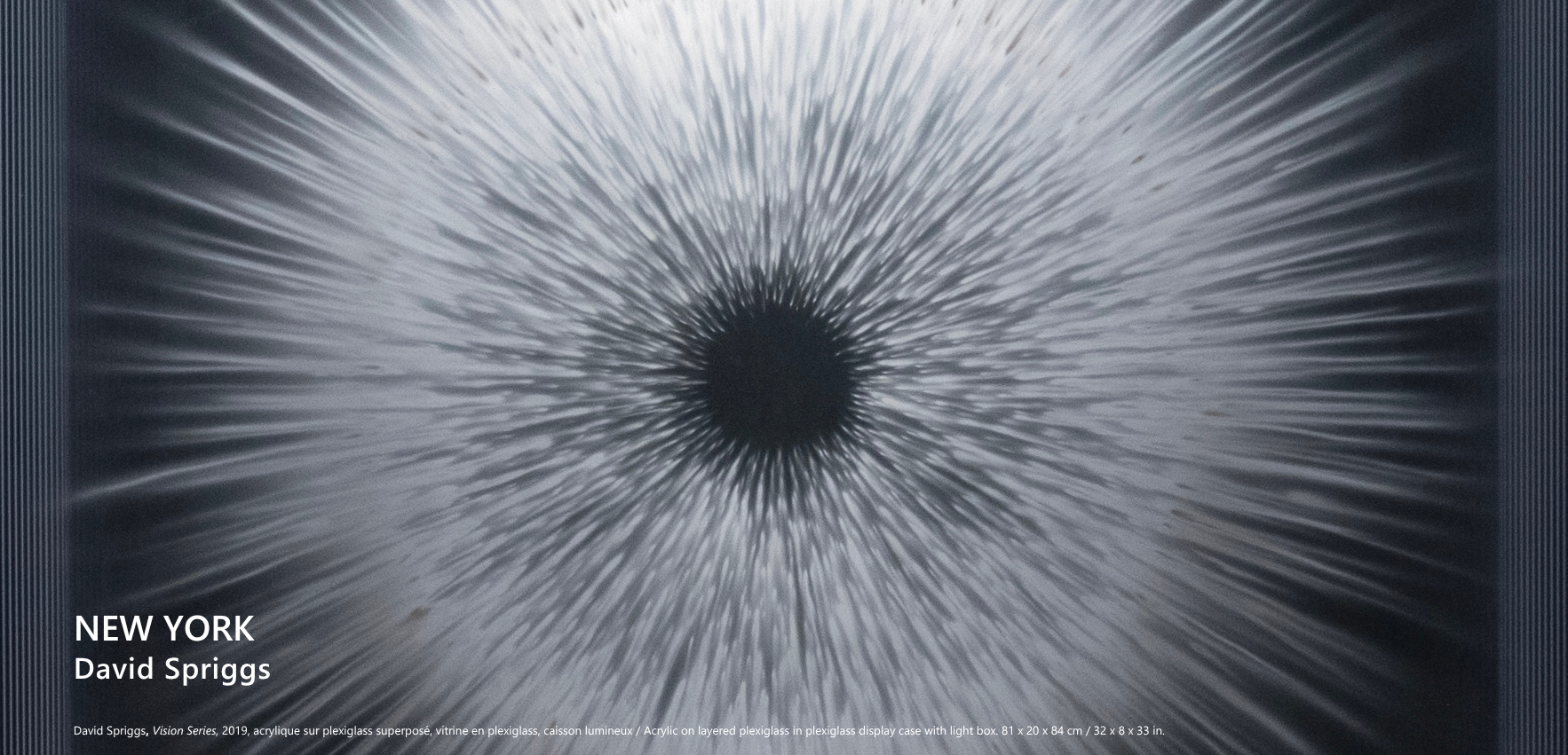 website_banner-DavidSpriggs_NY.png